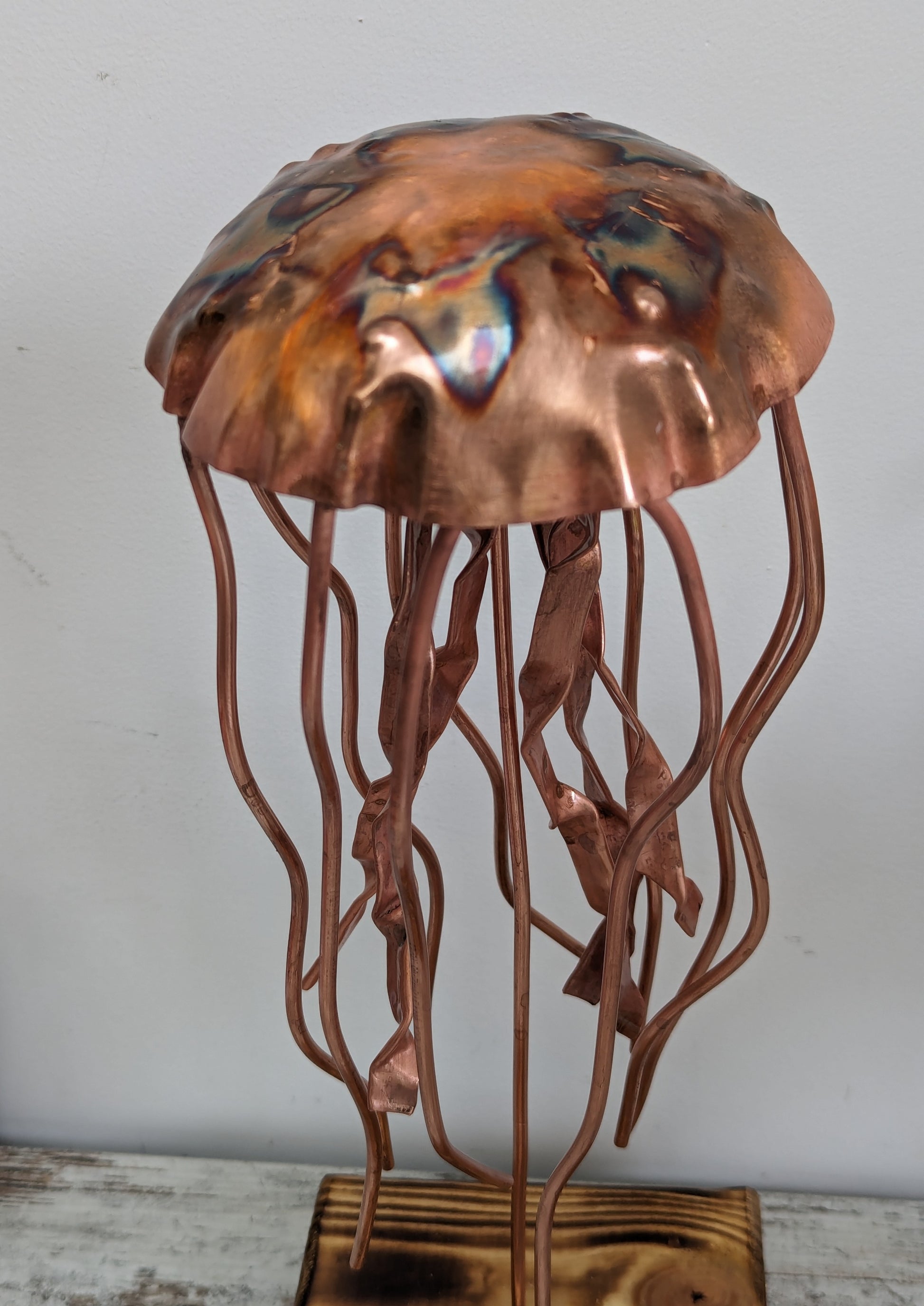 Copper jellyfish - Deshca Designs