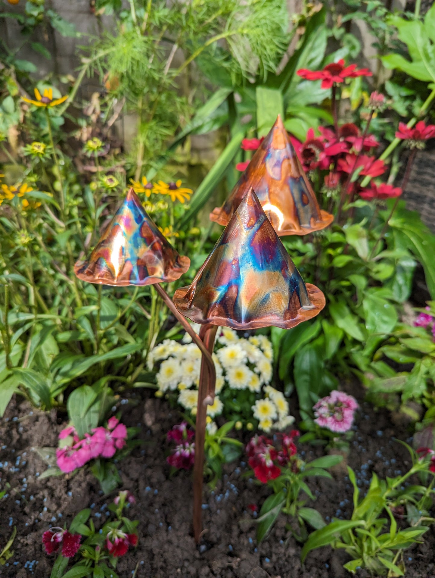 Copper toadstools