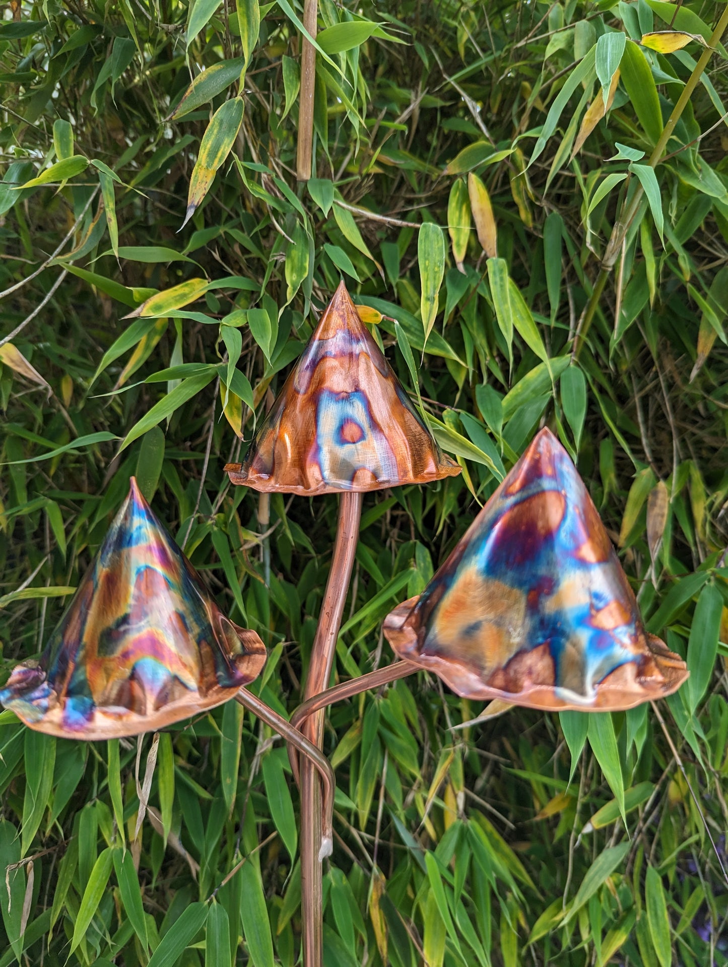 Toadstools