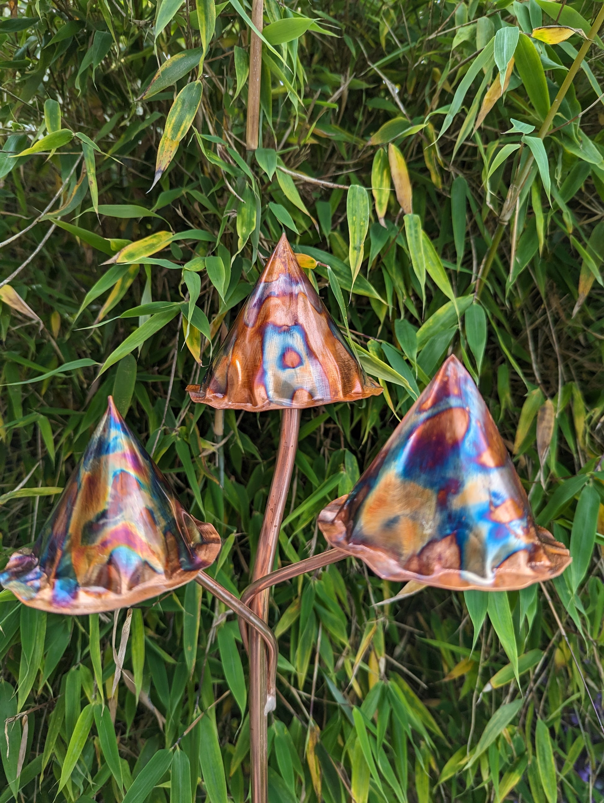 Toadstools