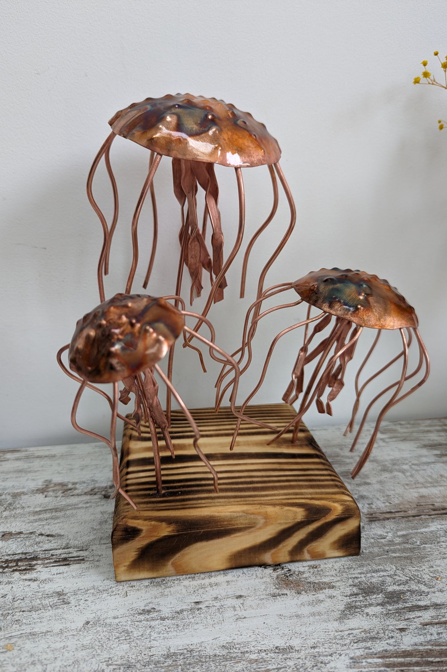Three Copper jellyfish - Deshca Designs