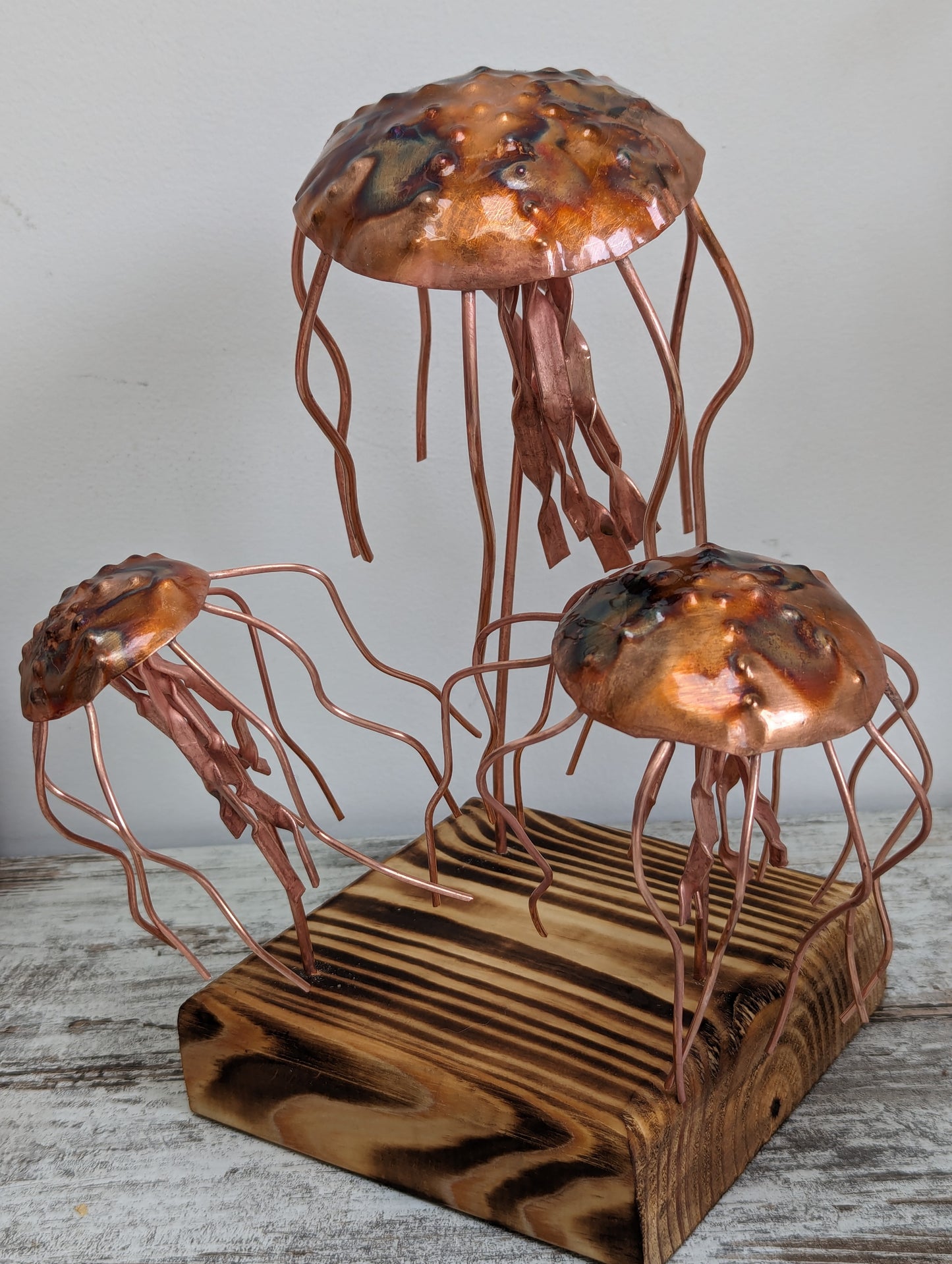 Trio of Copper jellyfish - Deshca Designs