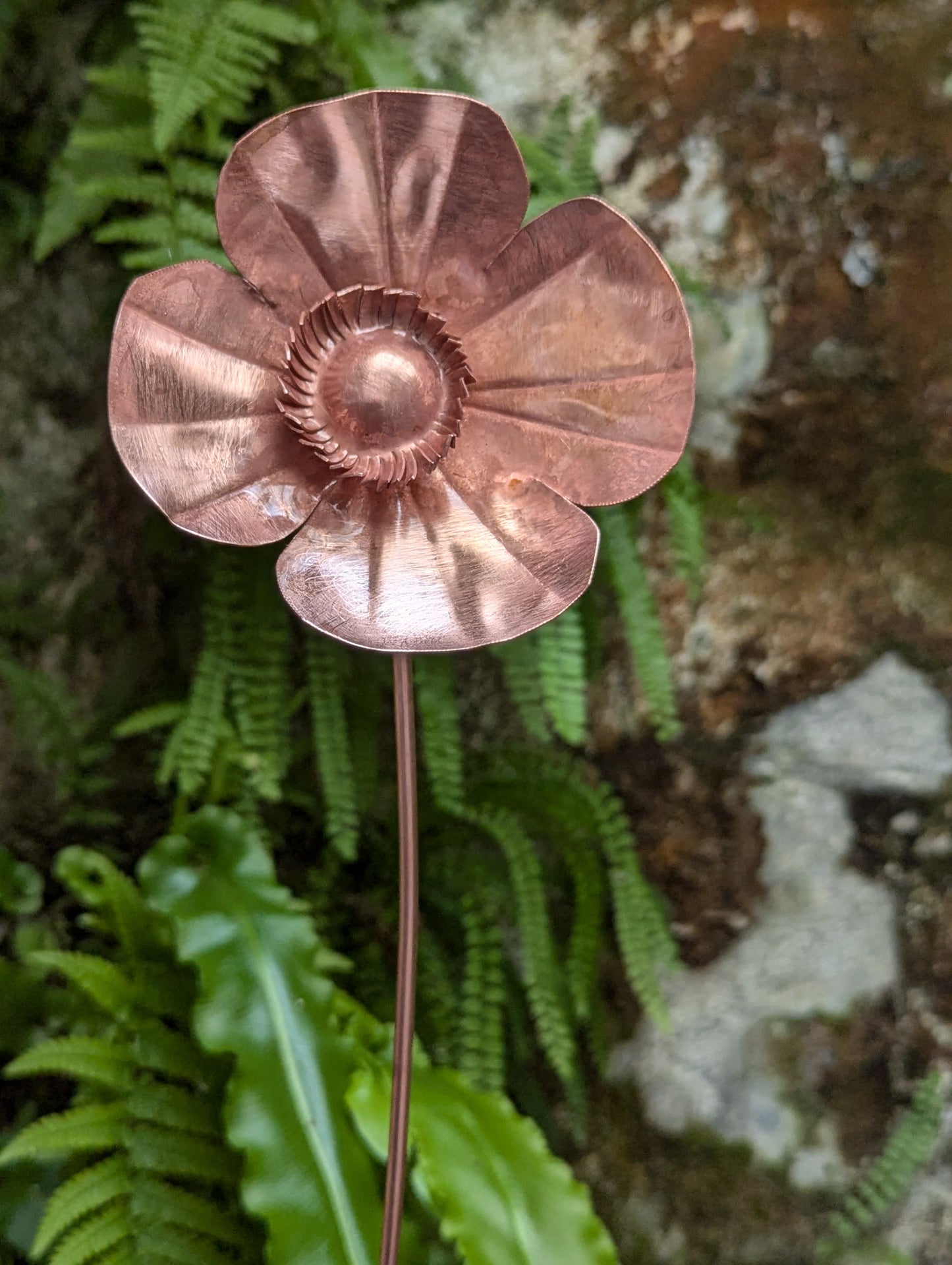 Copper poppy - Deshca Designs