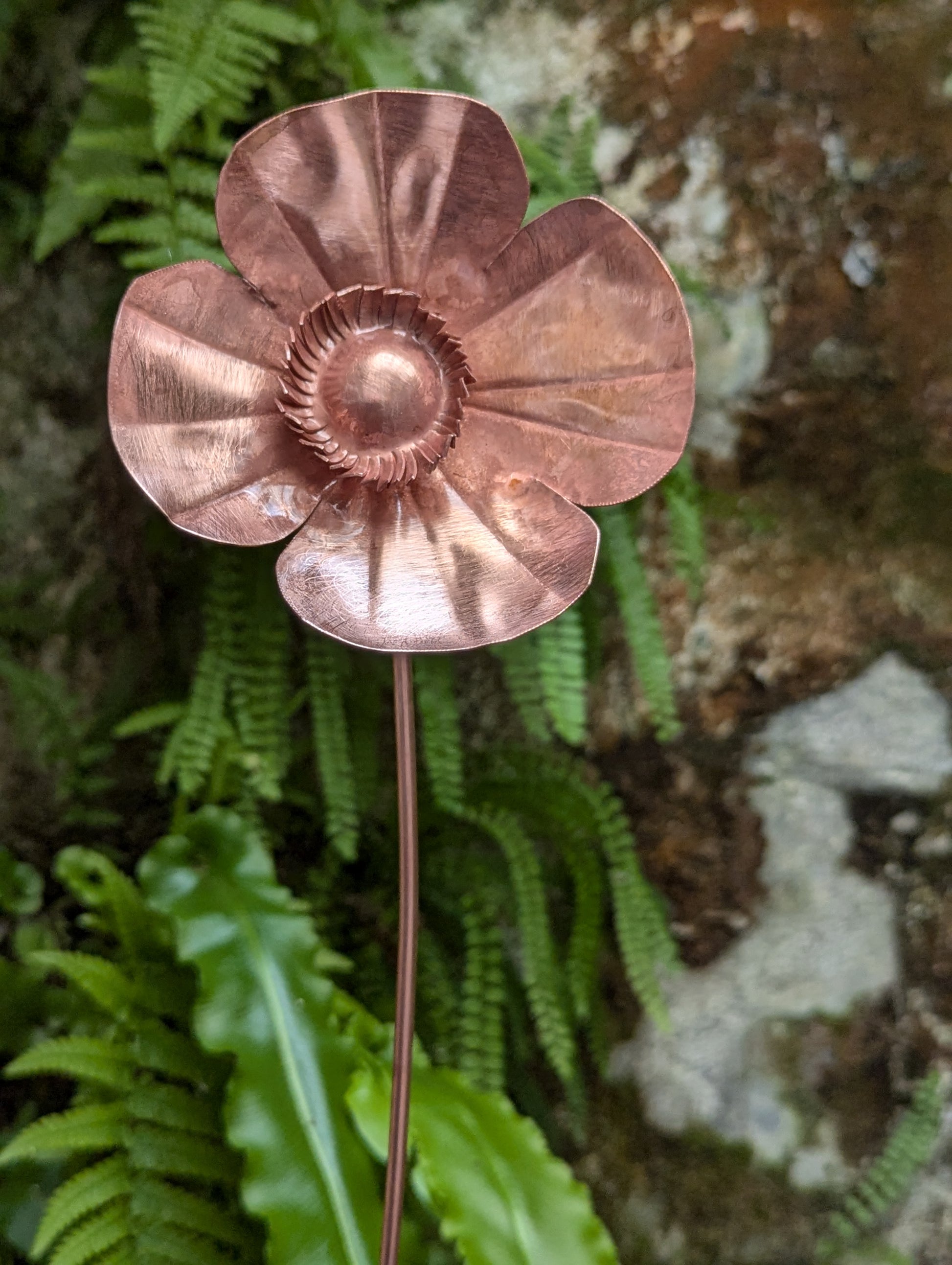 Copper poppy - Deshca Designs