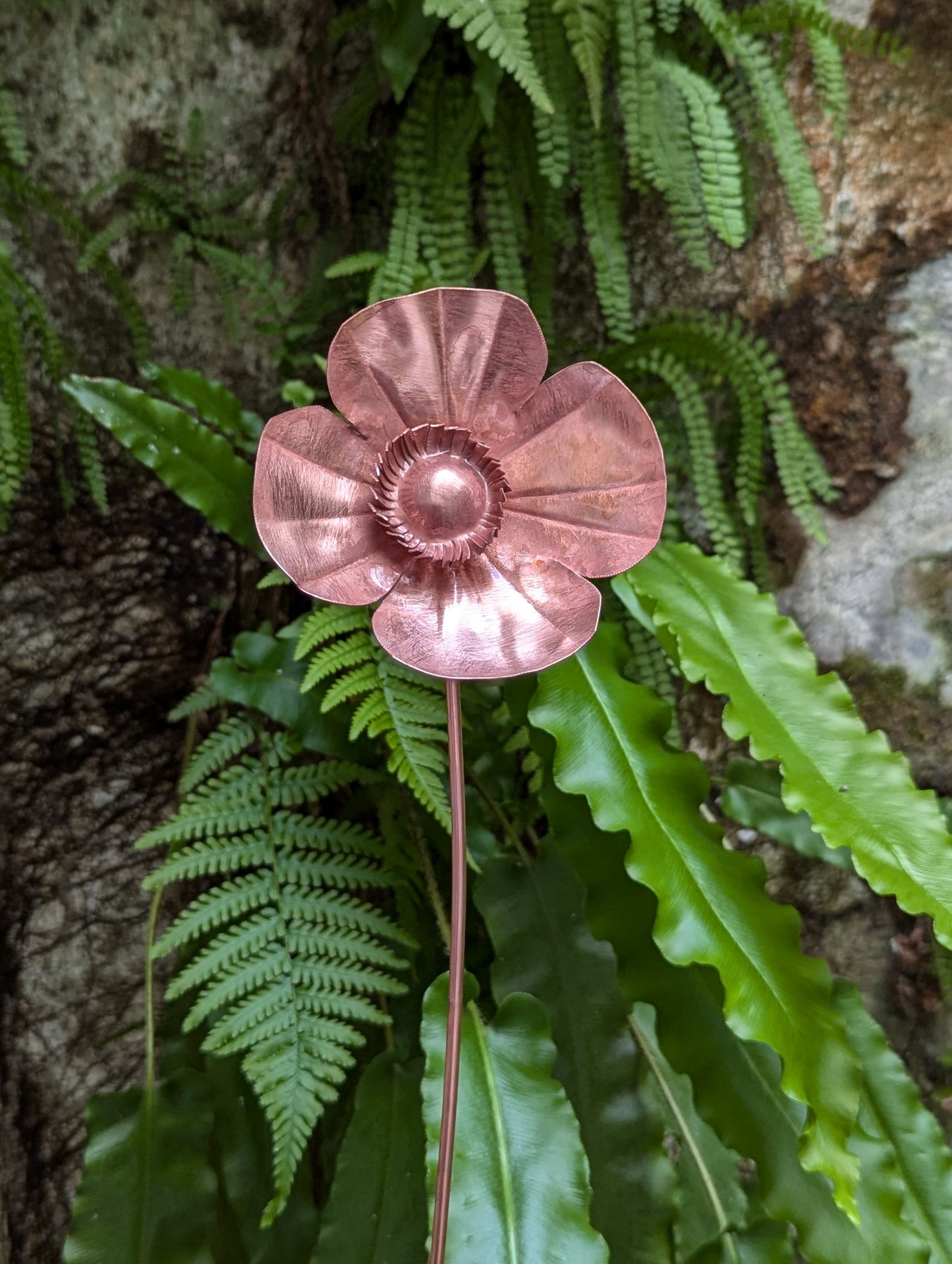 Copper poppy - Deshca Designs