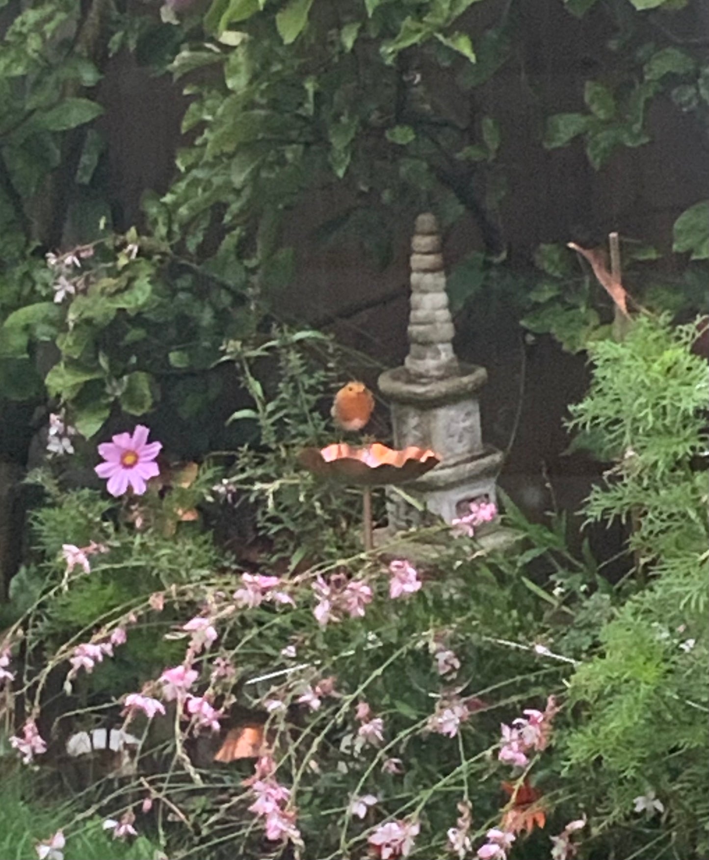 Bird feeder copper bowl - Deshca Designs