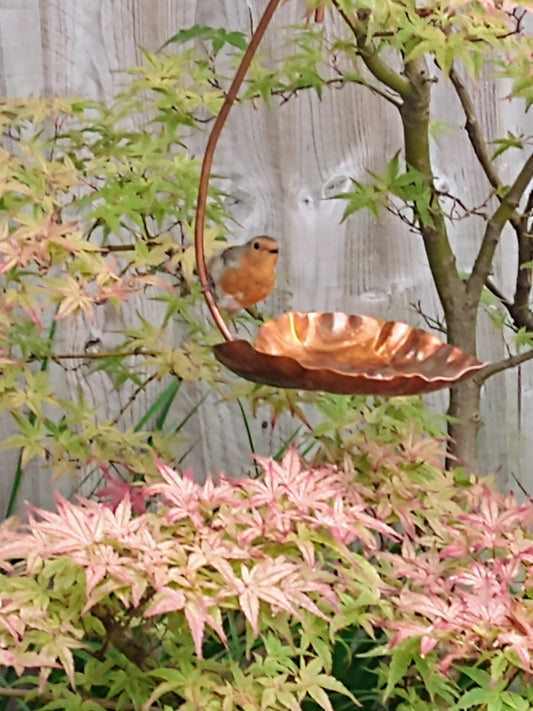 Copper hanging bird feeder