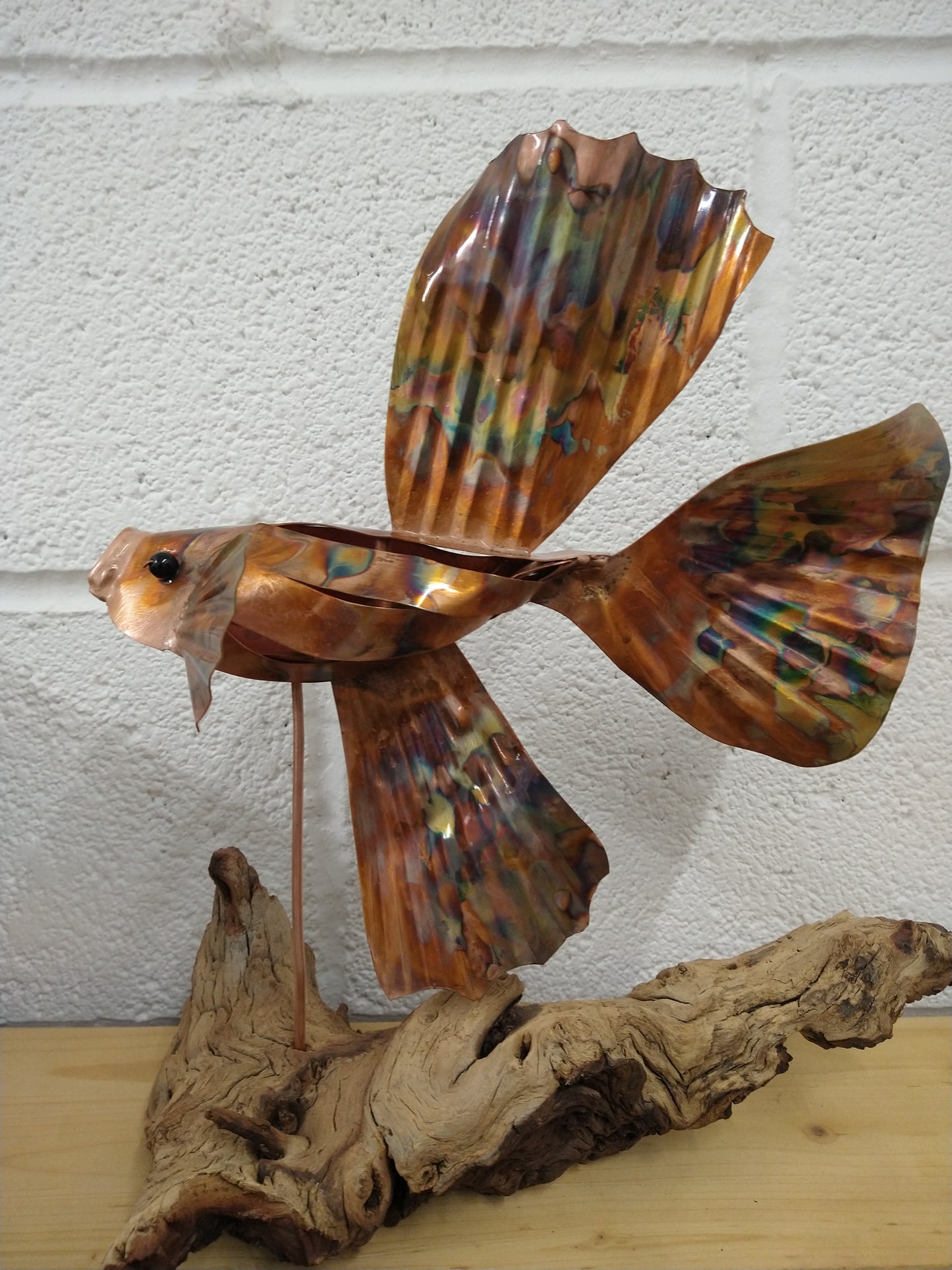 Siamese fighting fish copper sculpture - Deshca Designs