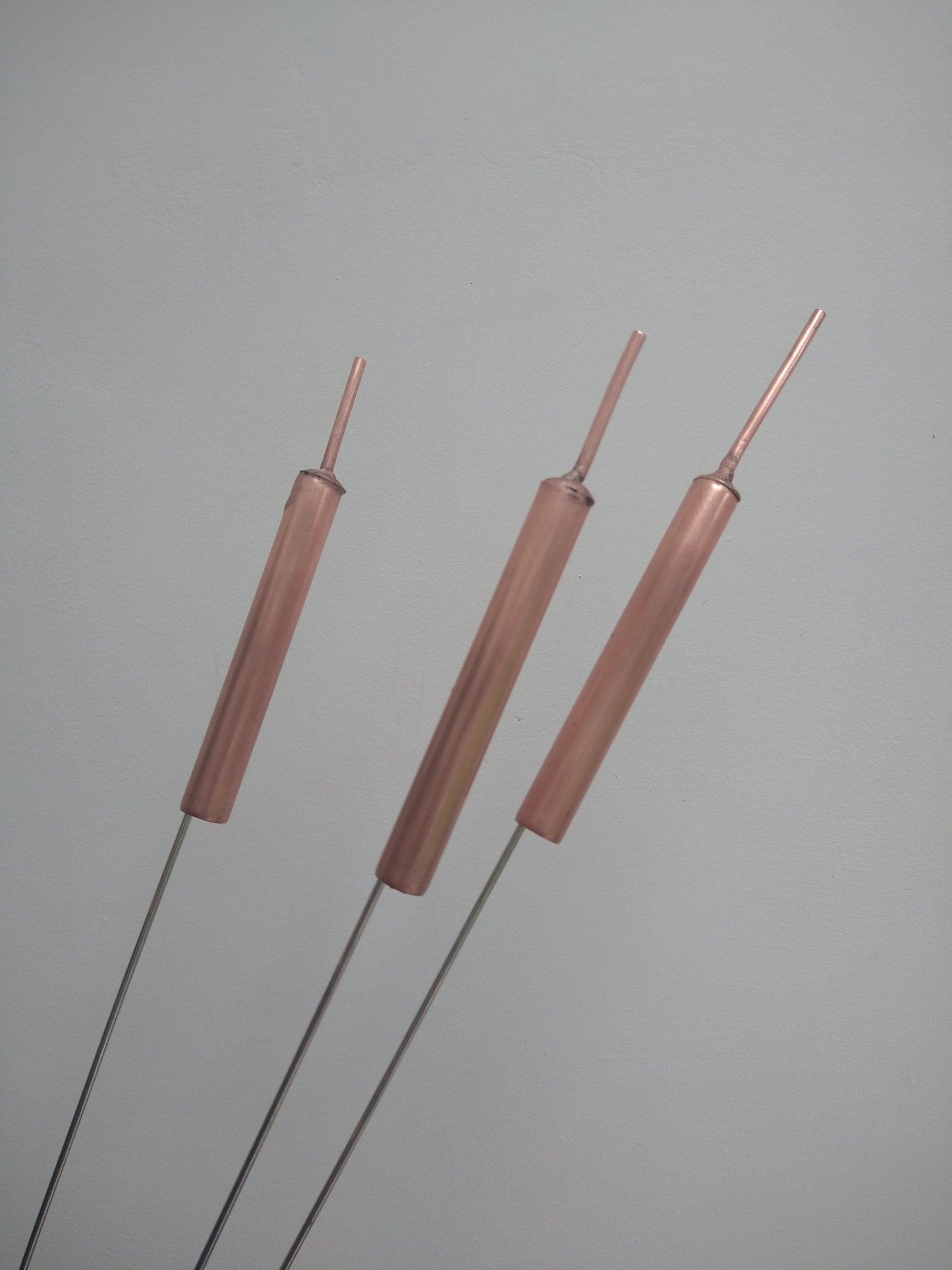Copper bulrushes cattails - Deshca Designs