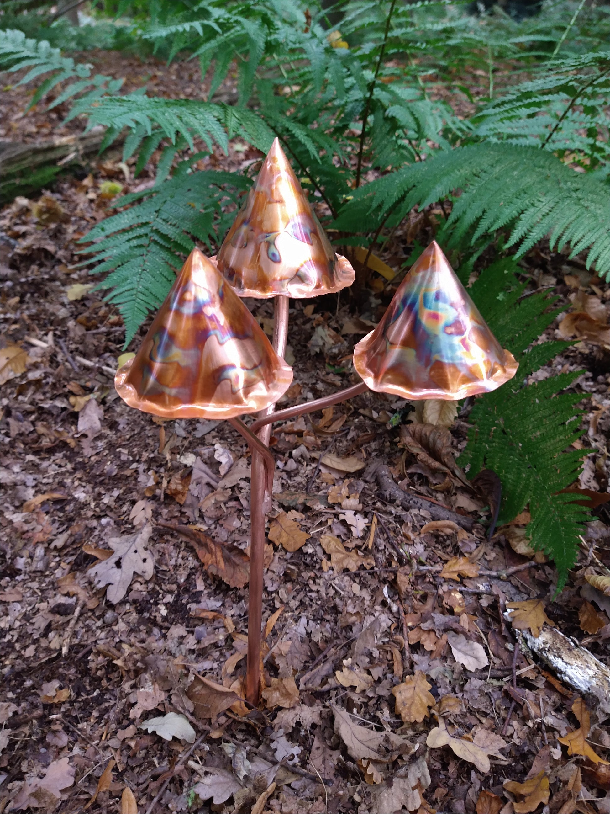 Toadstool
