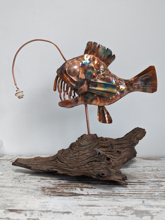 Copper angler fish