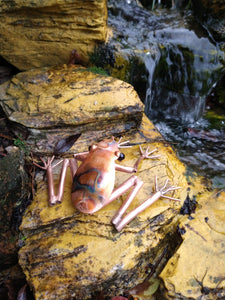 Copper frogs garden decor