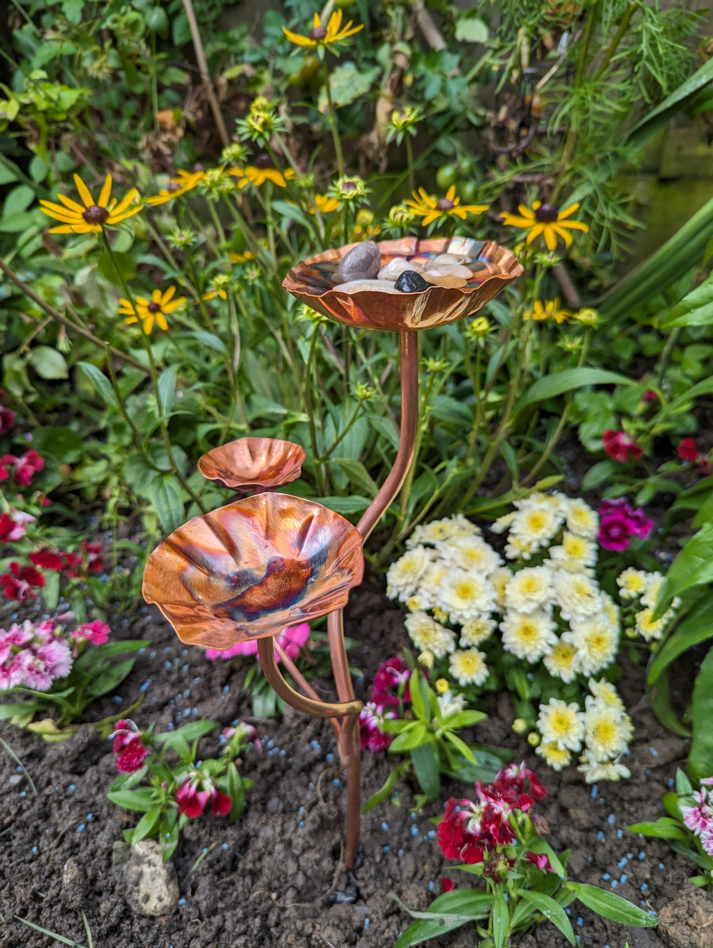 Bee bath and butterfly feeder