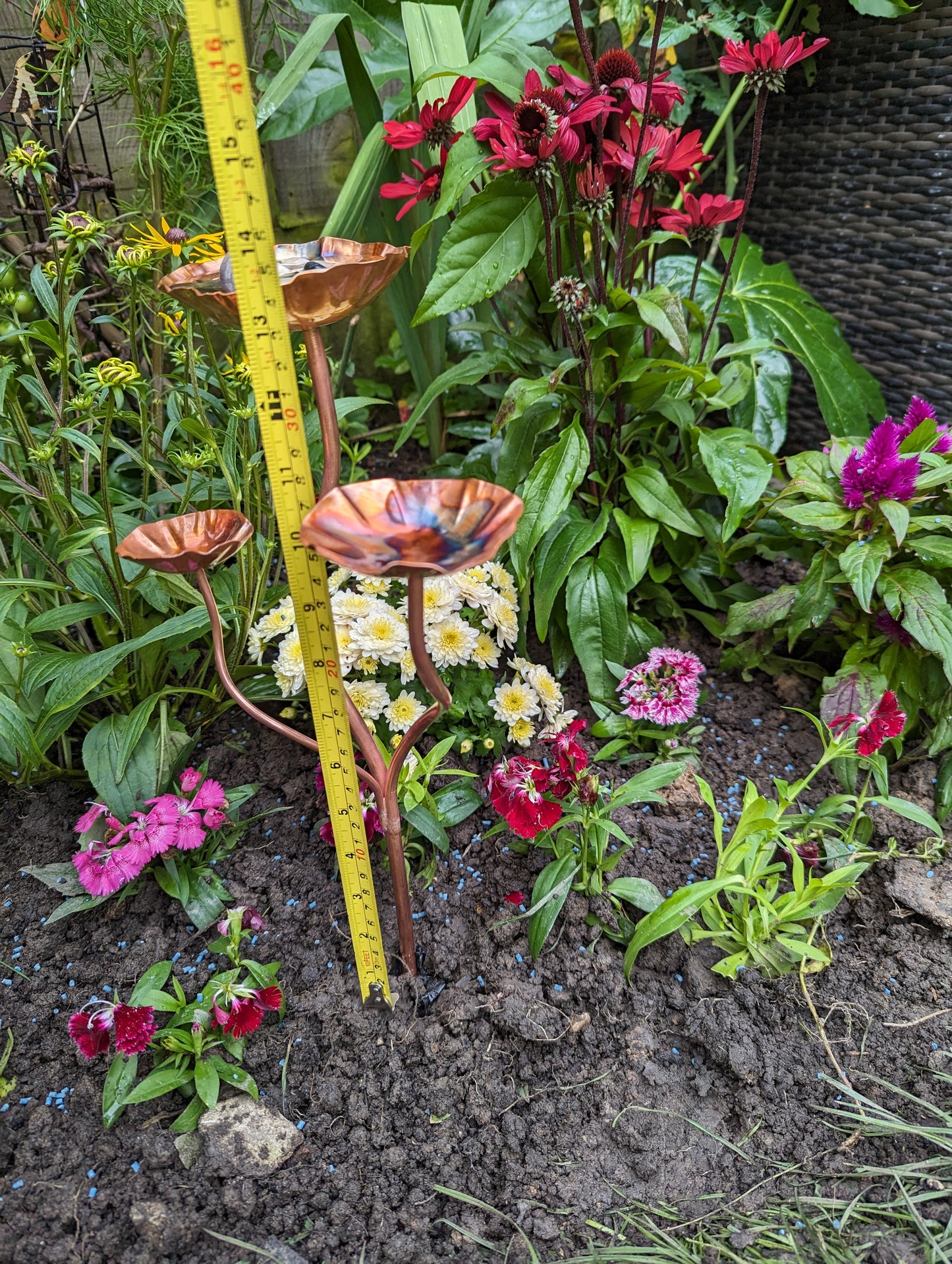 Butterfly feeder