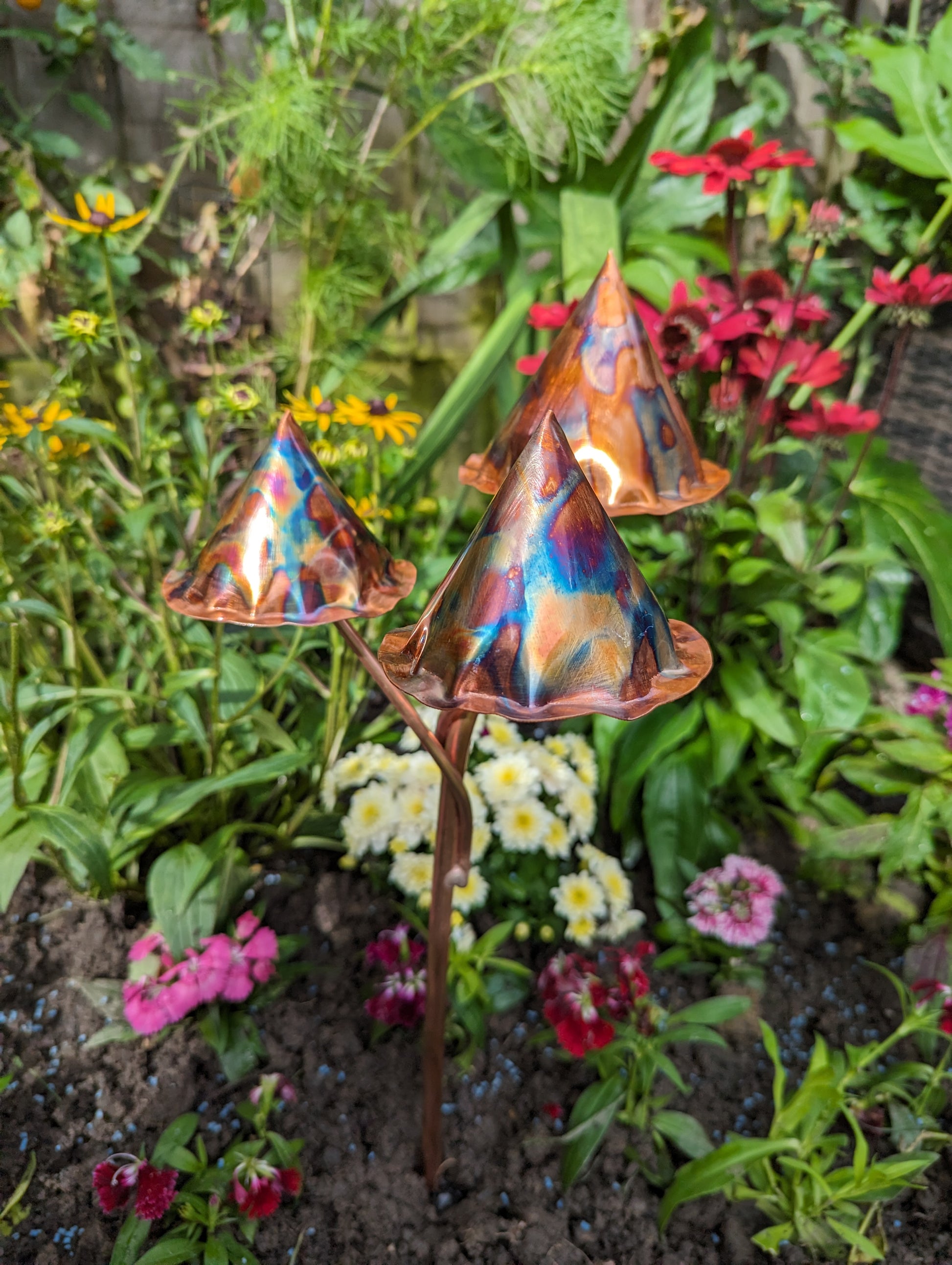 Copper toadstools 