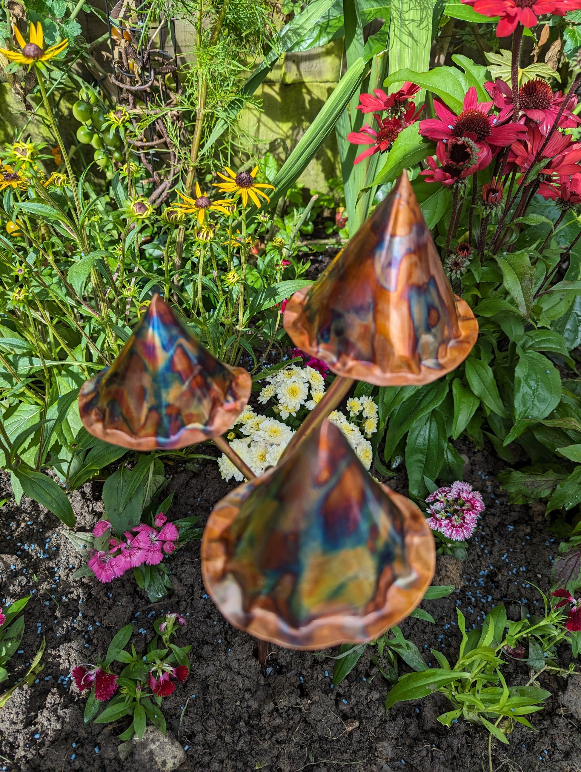 Copper toadstools 