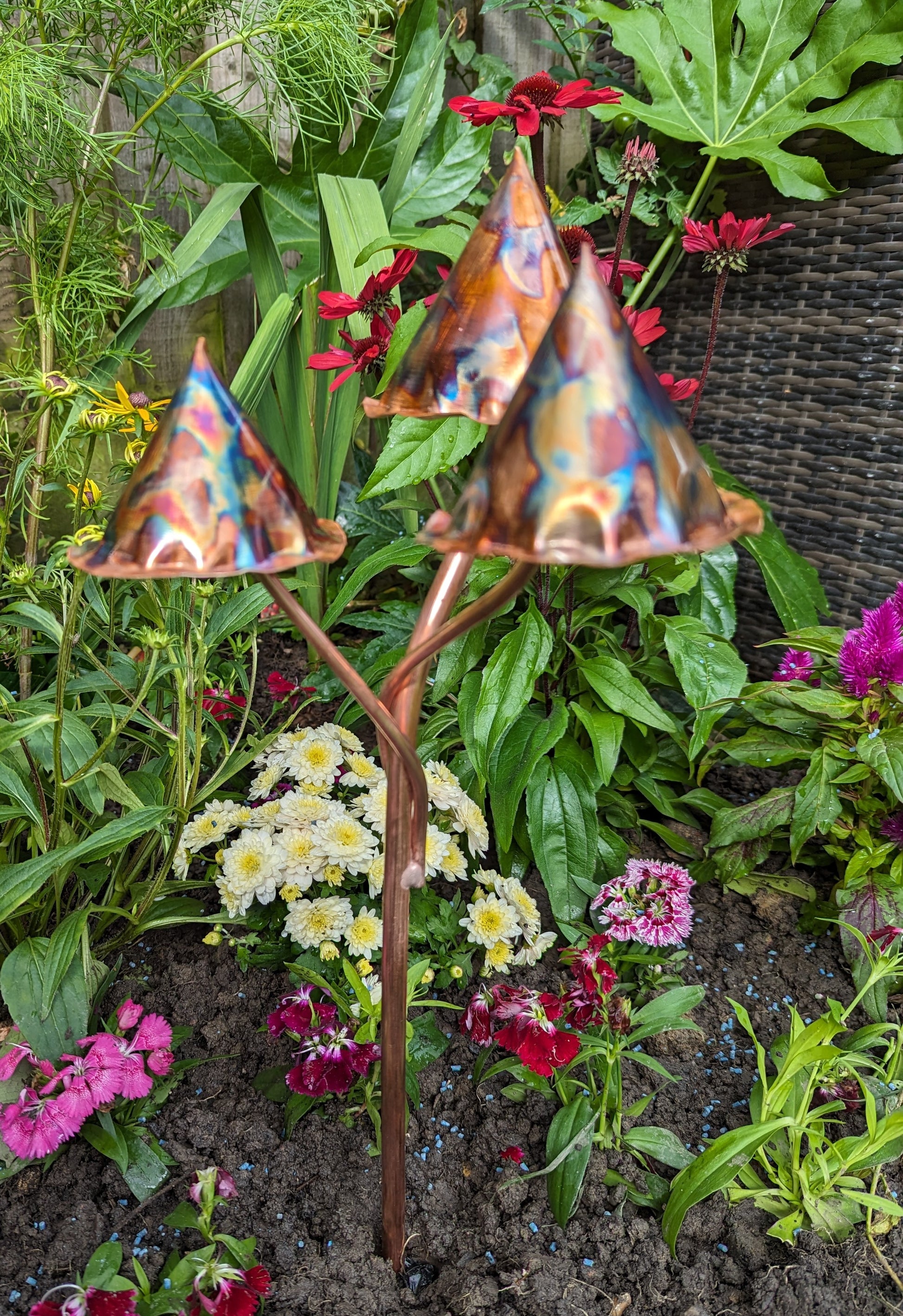 Copper toadstools 