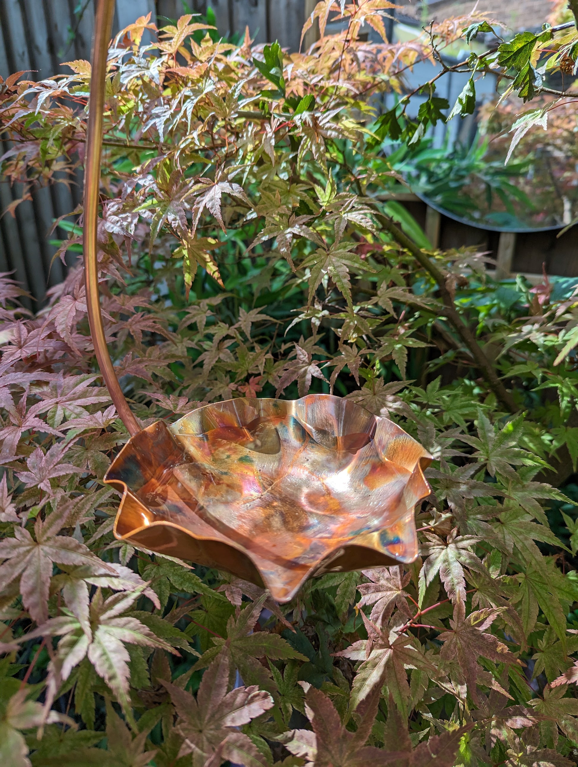 Copper bird bath