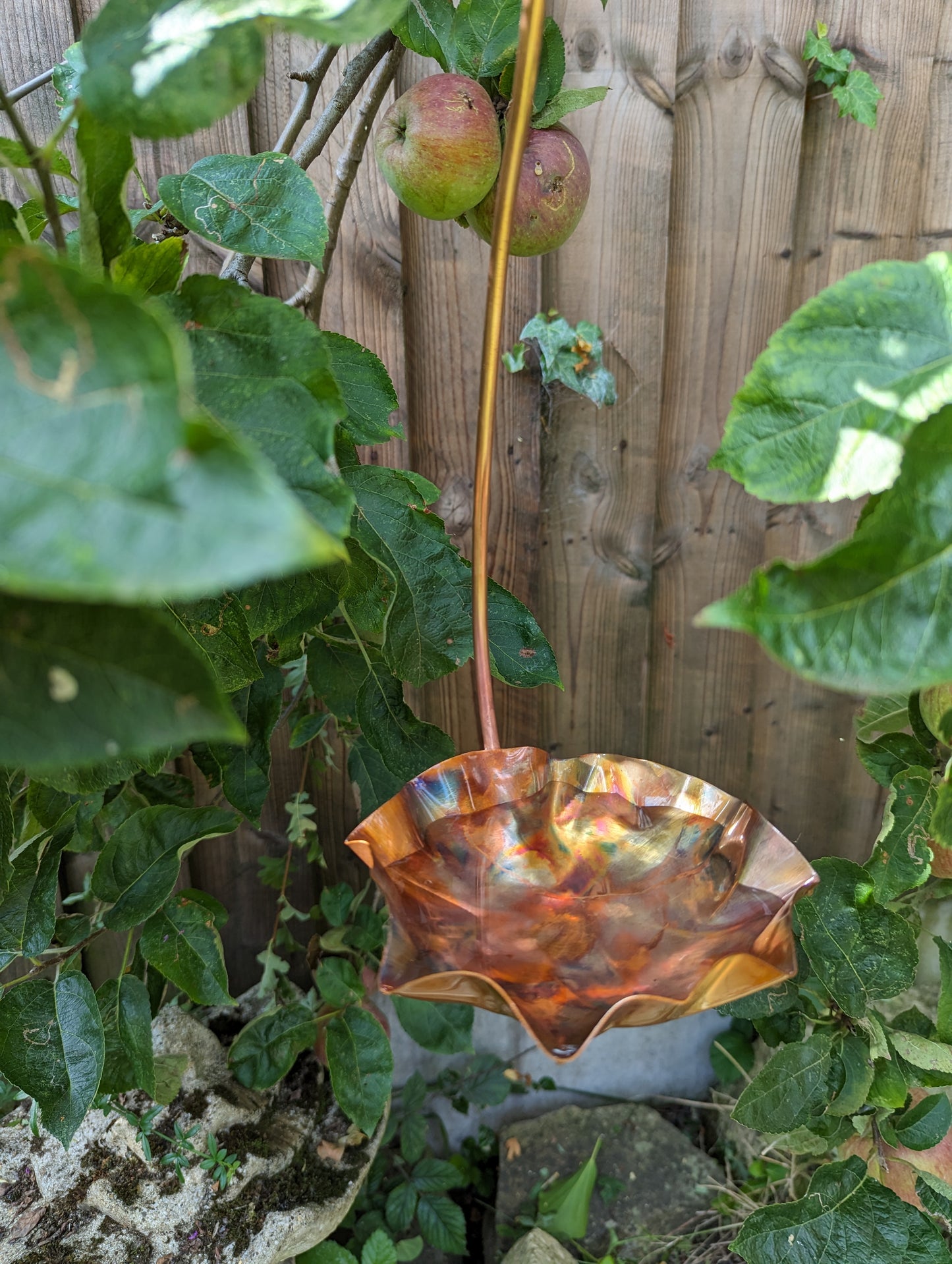 Copper bird bath