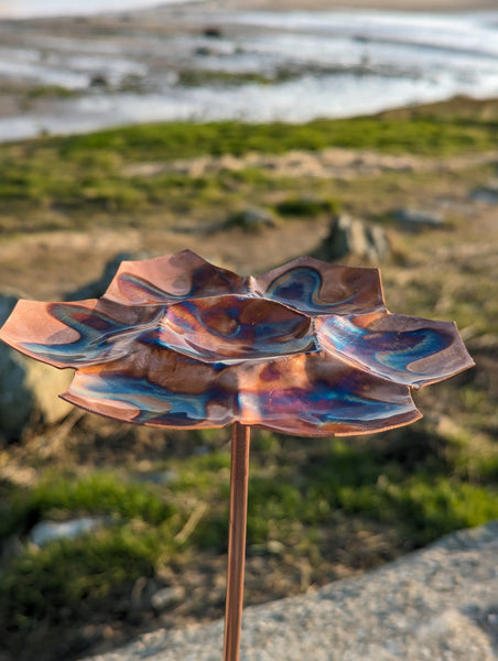 Copper Bee Bath for Pollinating Guests - Shallow, Flame-Coloured Bee Bath for Garden - Deshca Designs