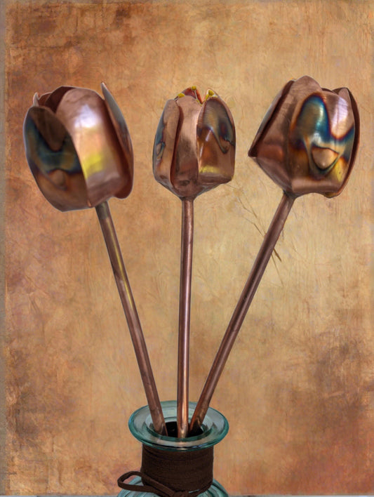 Copper tulips