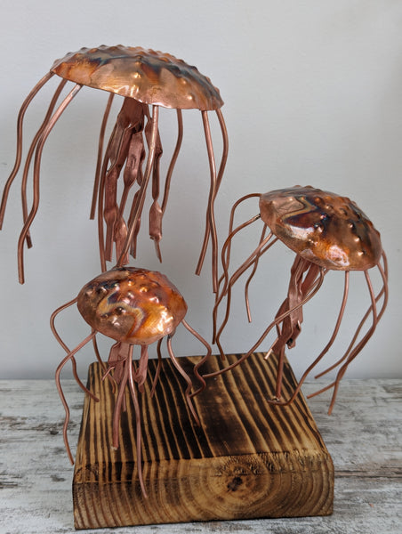 Three Copper jellyfish - Deshca Designs