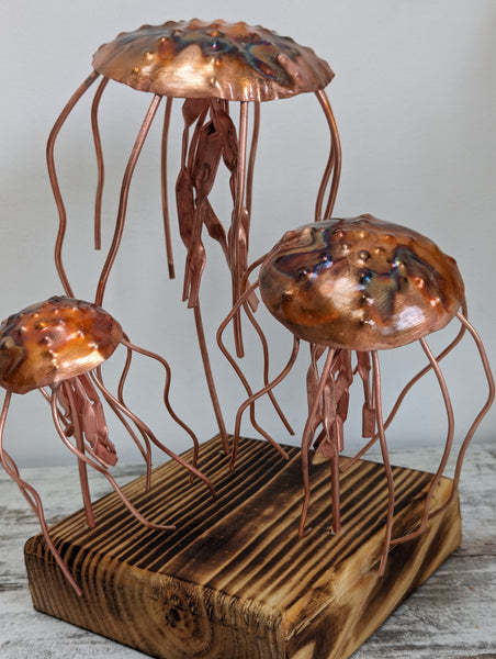 Three Copper jellyfish - Deshca Designs