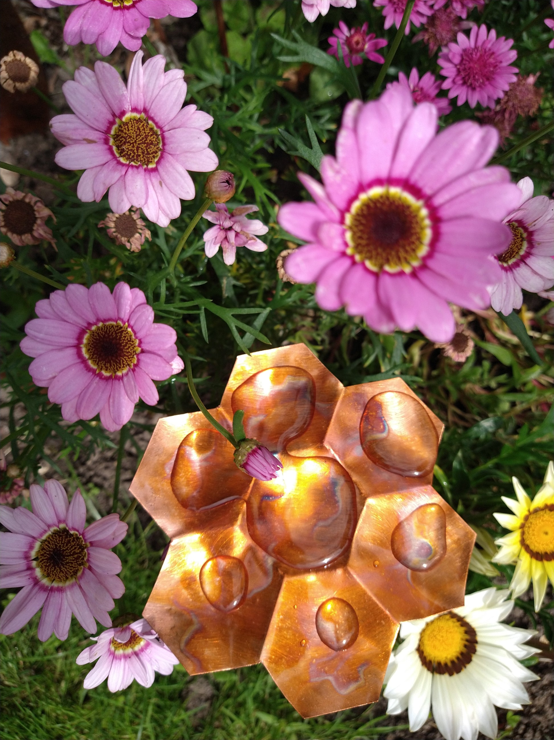 Copper Bee Bath for Pollinating Guests - Shallow, Flame-Coloured Bee Bath for Garden - Deshca Designs