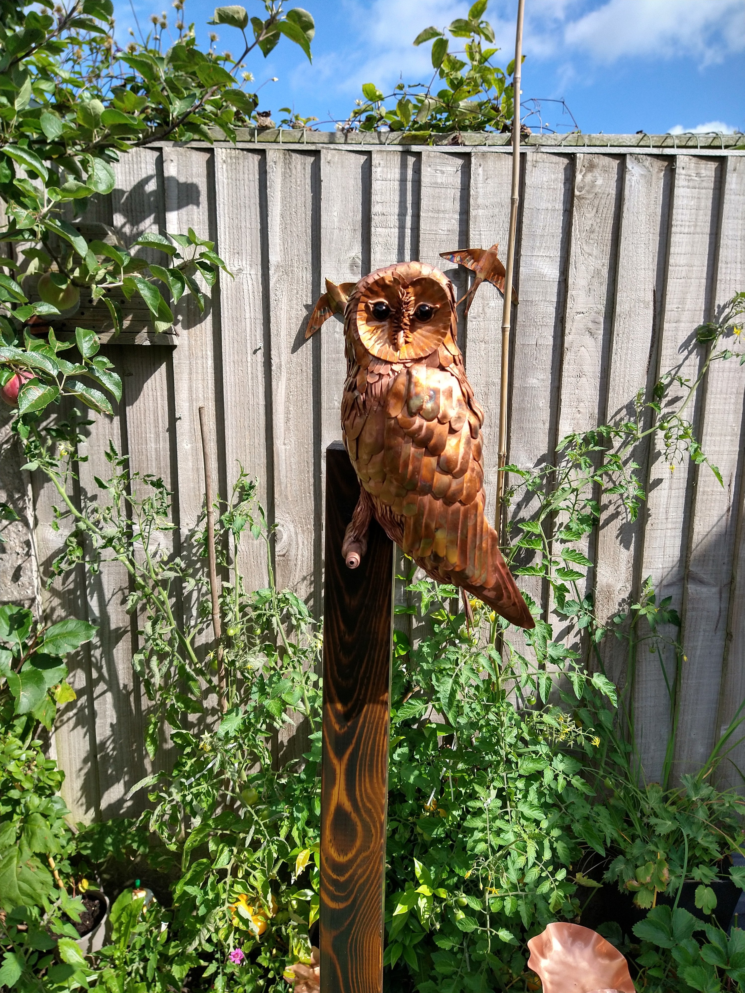 Copper Owl 2024 Sculpture