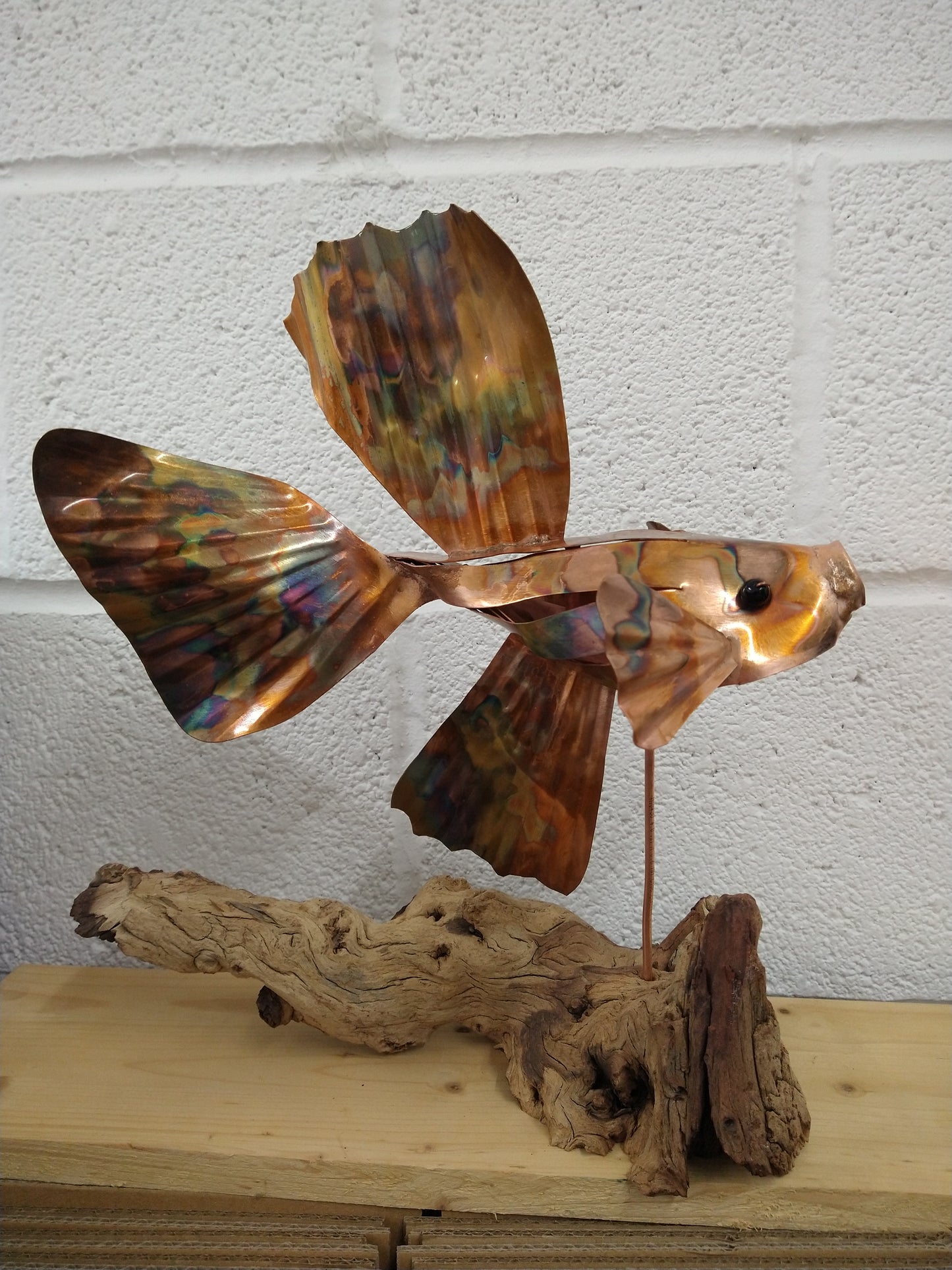 Siamese fighting fish copper sculpture - Deshca Designs