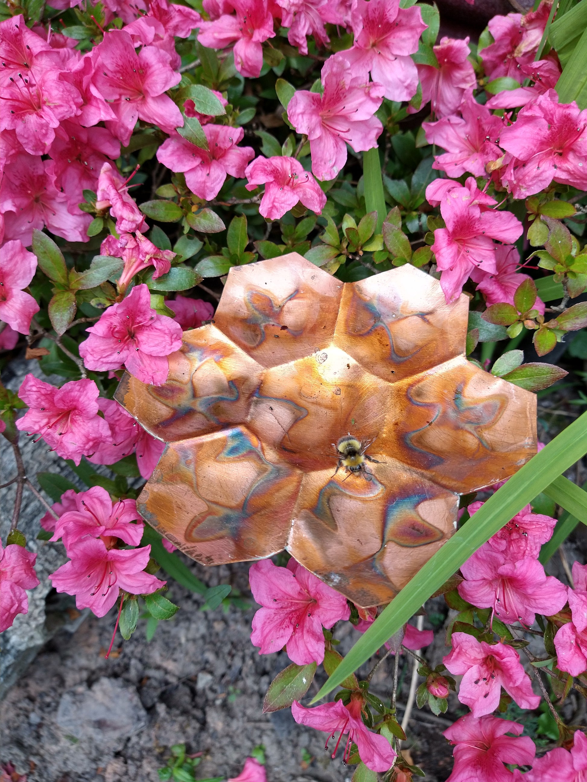 Copper Bee Bath for Pollinating Guests - Shallow, Flame-Coloured Bee Bath for Garden - Deshca Designs