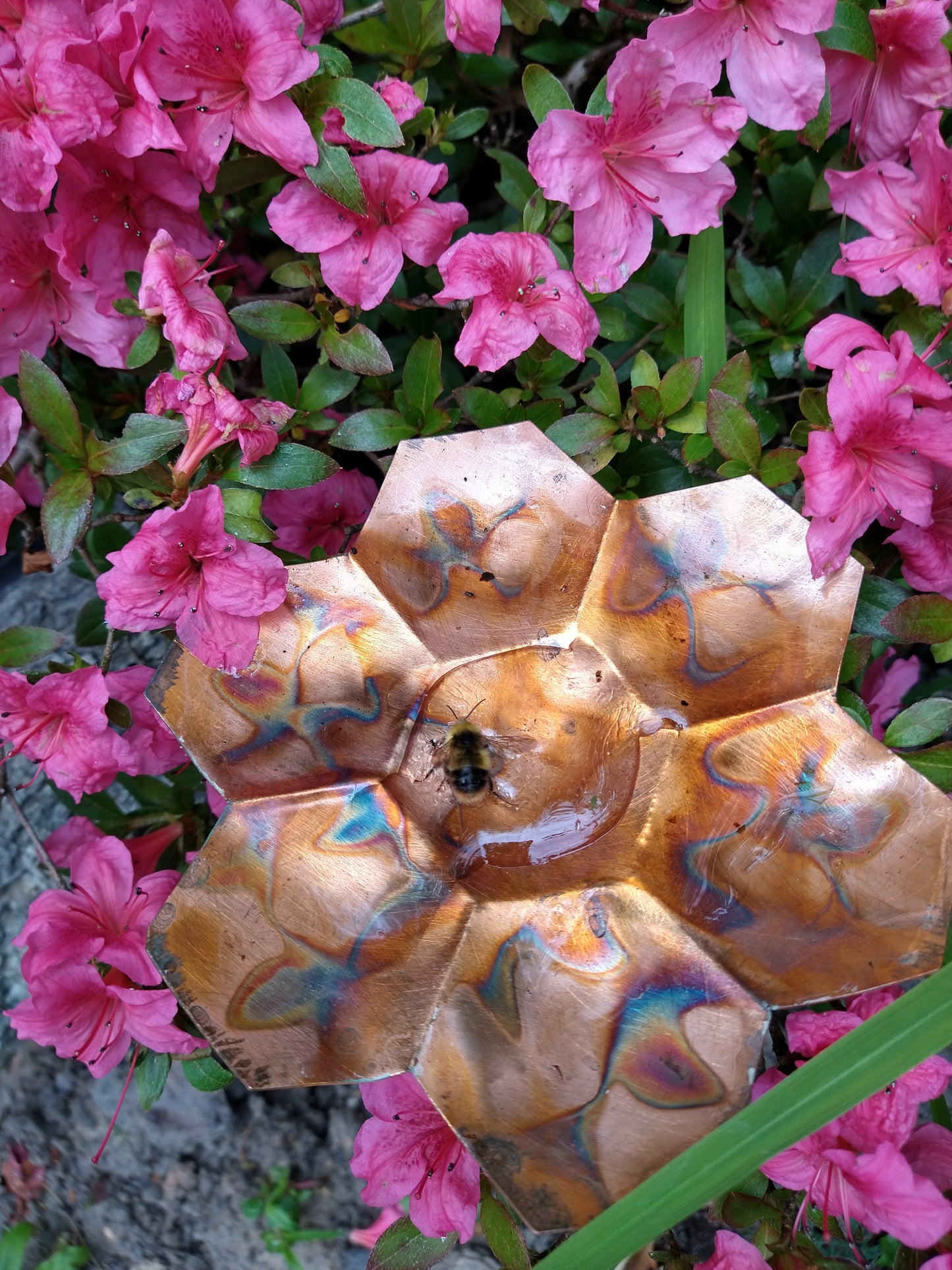 Copper Bee Bath for Pollinating Guests - Shallow, Flame-Coloured Bee Bath for Garden - Deshca Designs