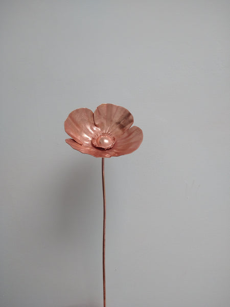 Copper poppy