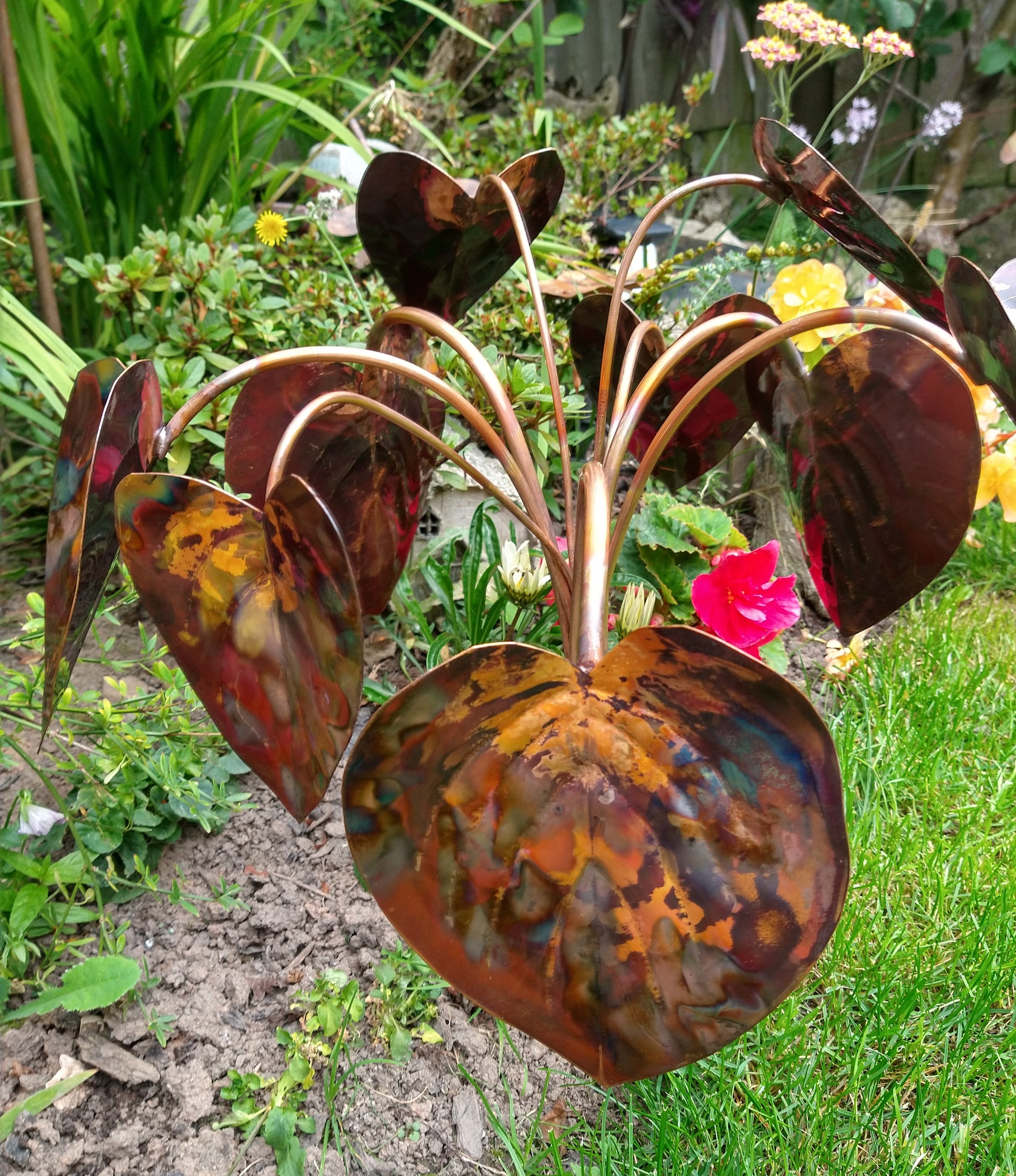 Copper hosta - Deshca Designs