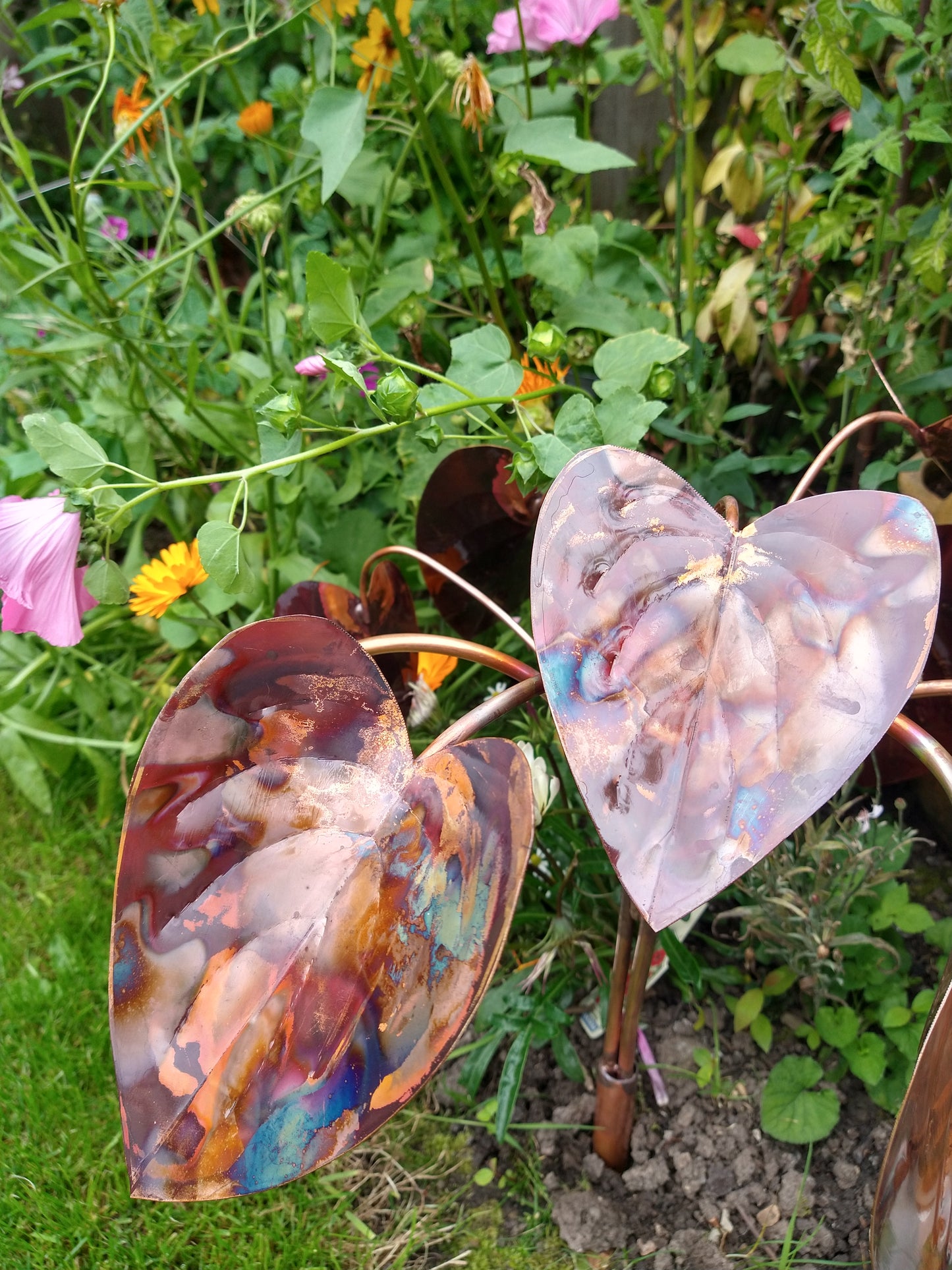 Copper hosta - Deshca Designs