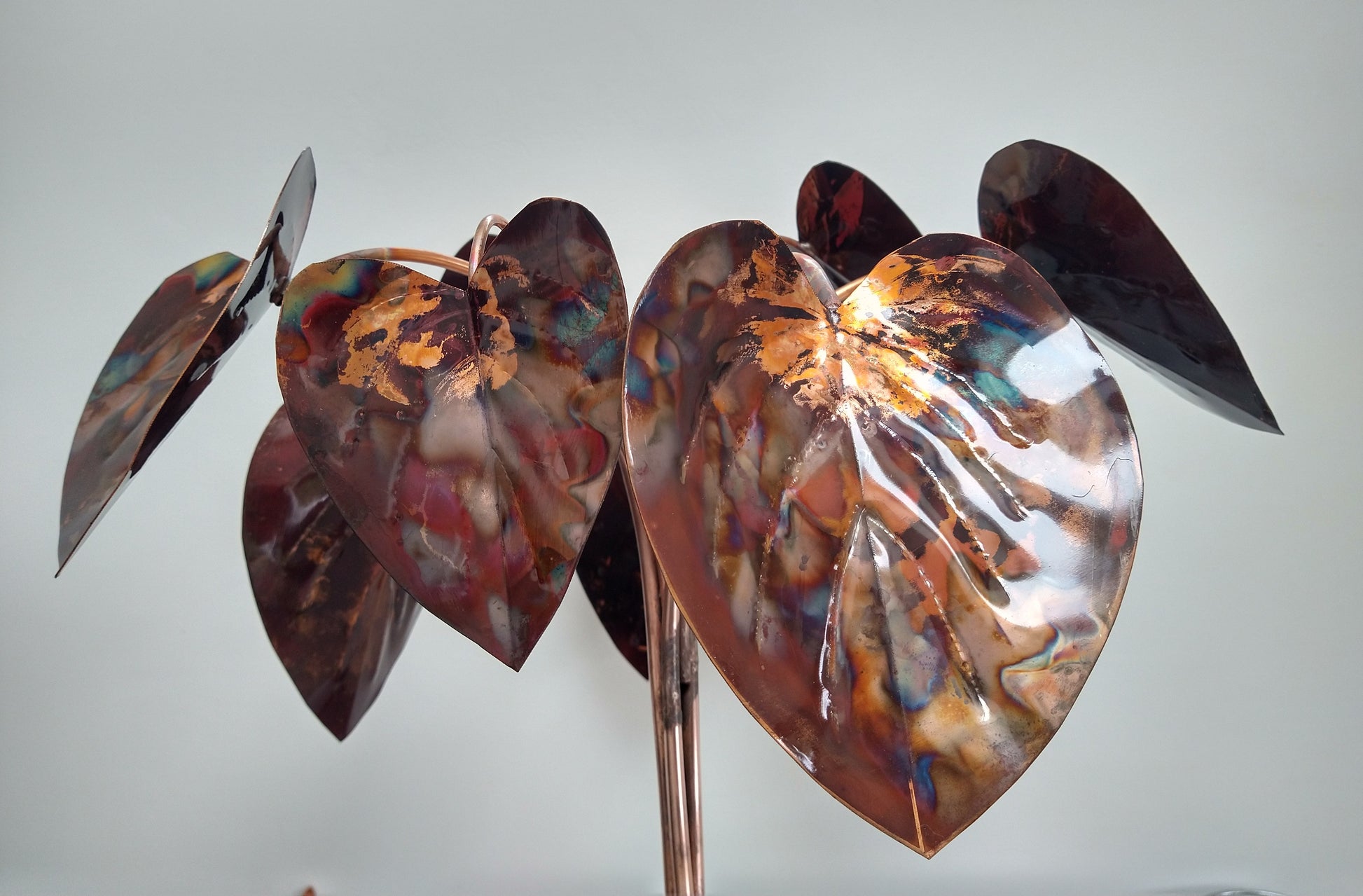 Copper hosta - Deshca Designs
