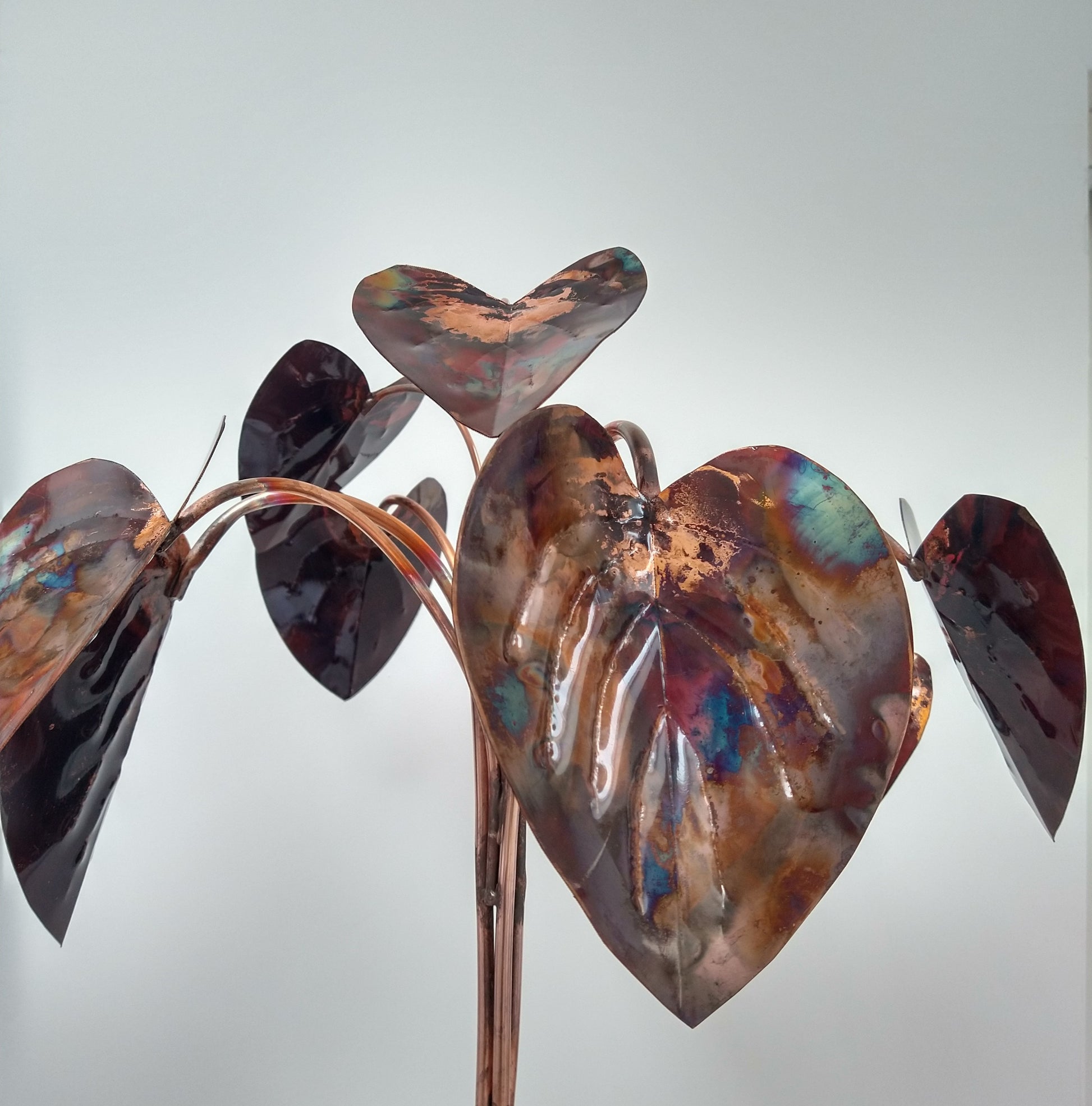 Copper hosta - Deshca Designs
