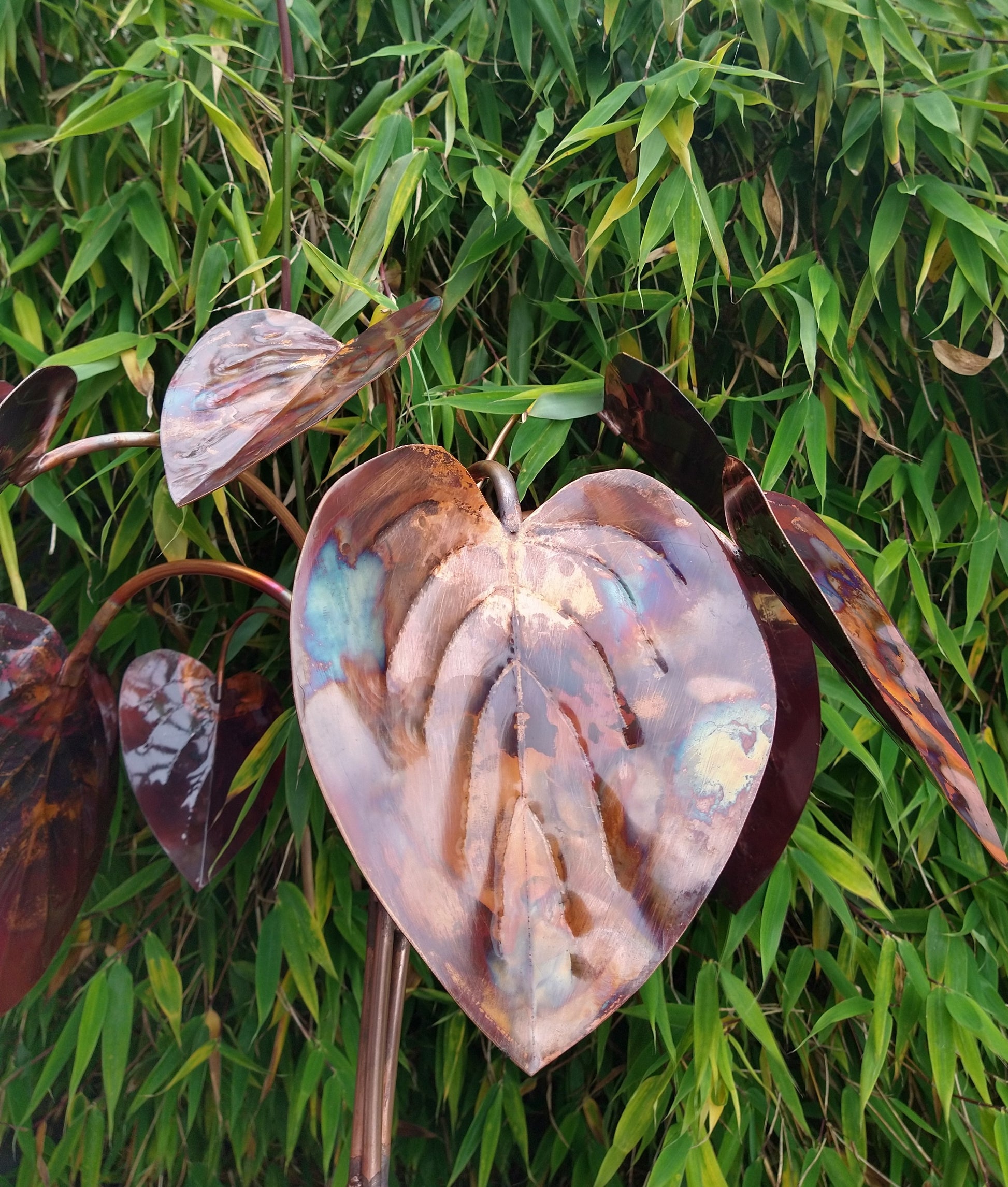 Copper hosta - Deshca Designs