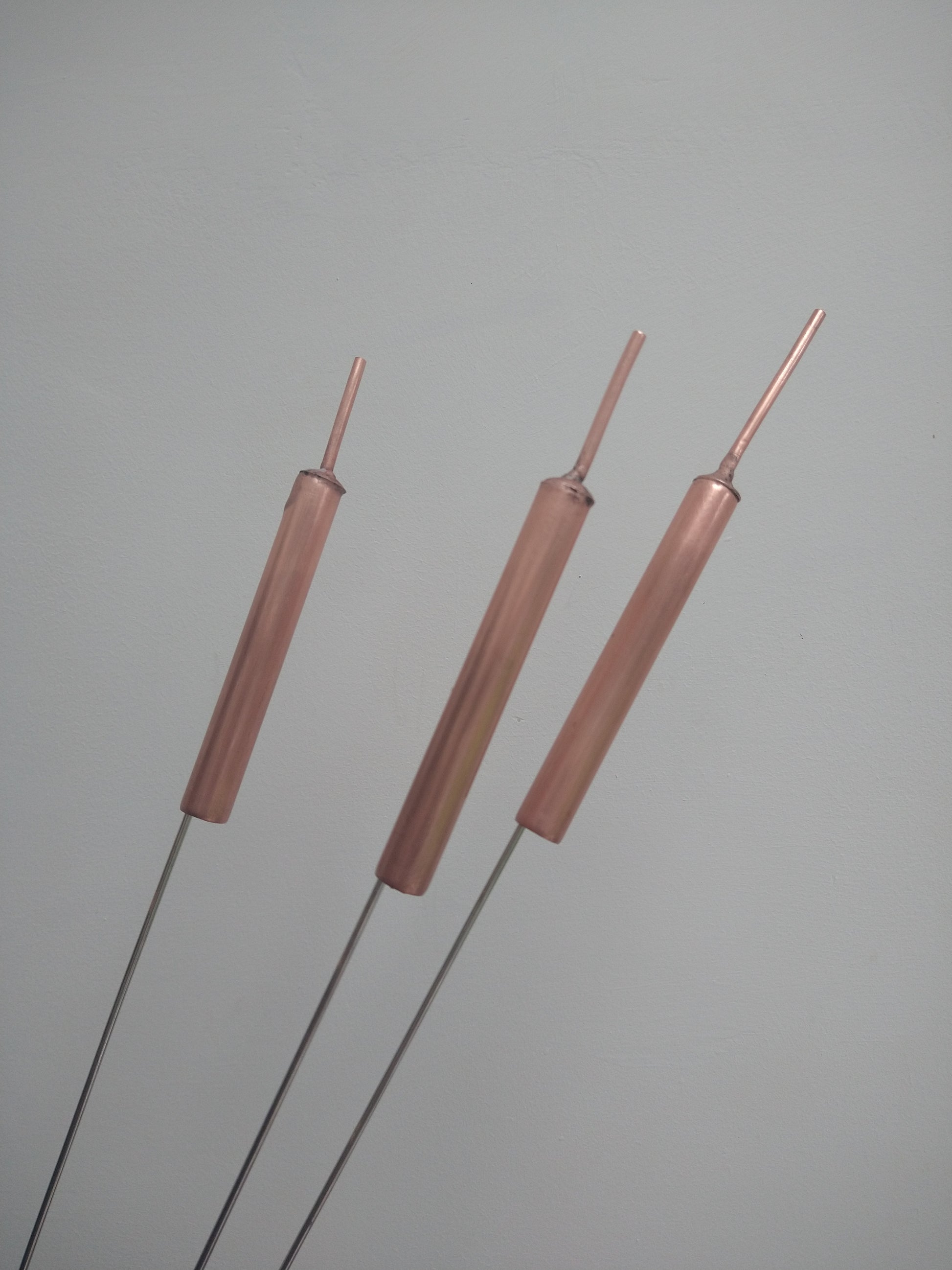 Copper bulrushes cattails - Deshca Designs