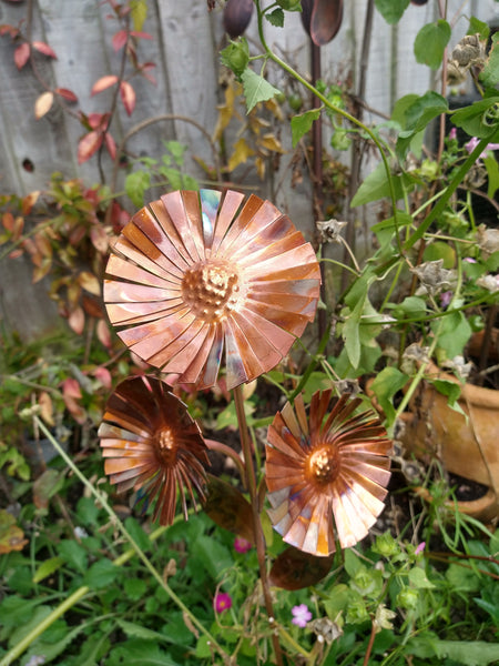Copper aster garden stake