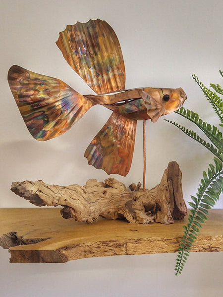 Siamese fighting fish copper sculpture