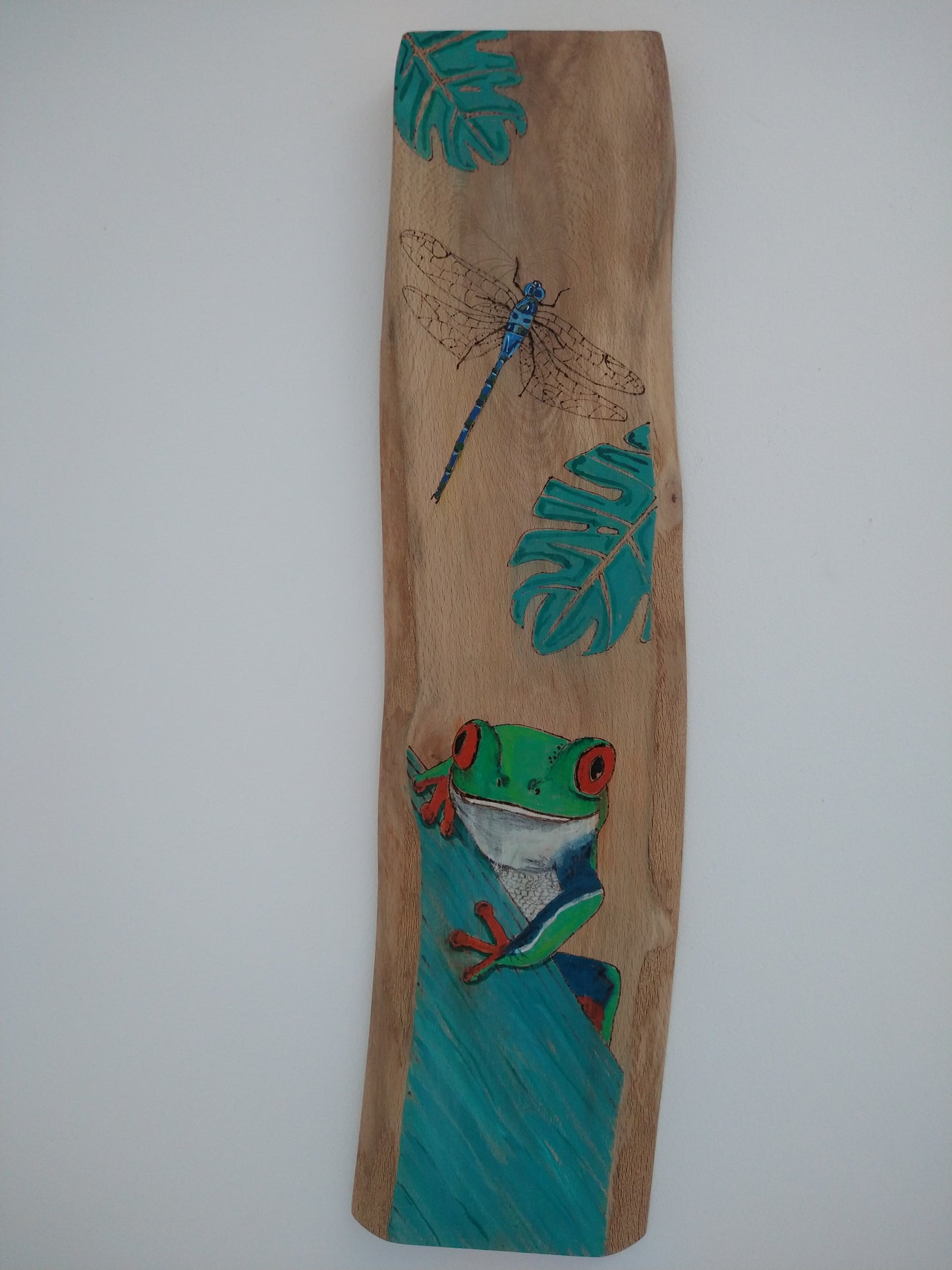 Pyrography tree frog and dragonfly - Deshca Designs