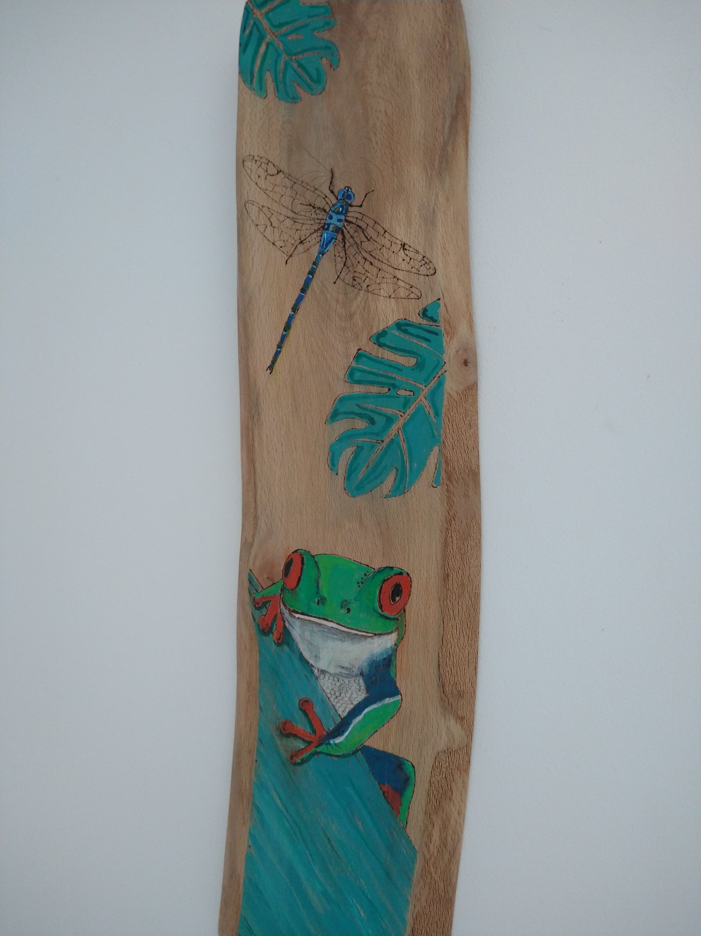 Pyrography tree frog and dragonfly - Deshca Designs