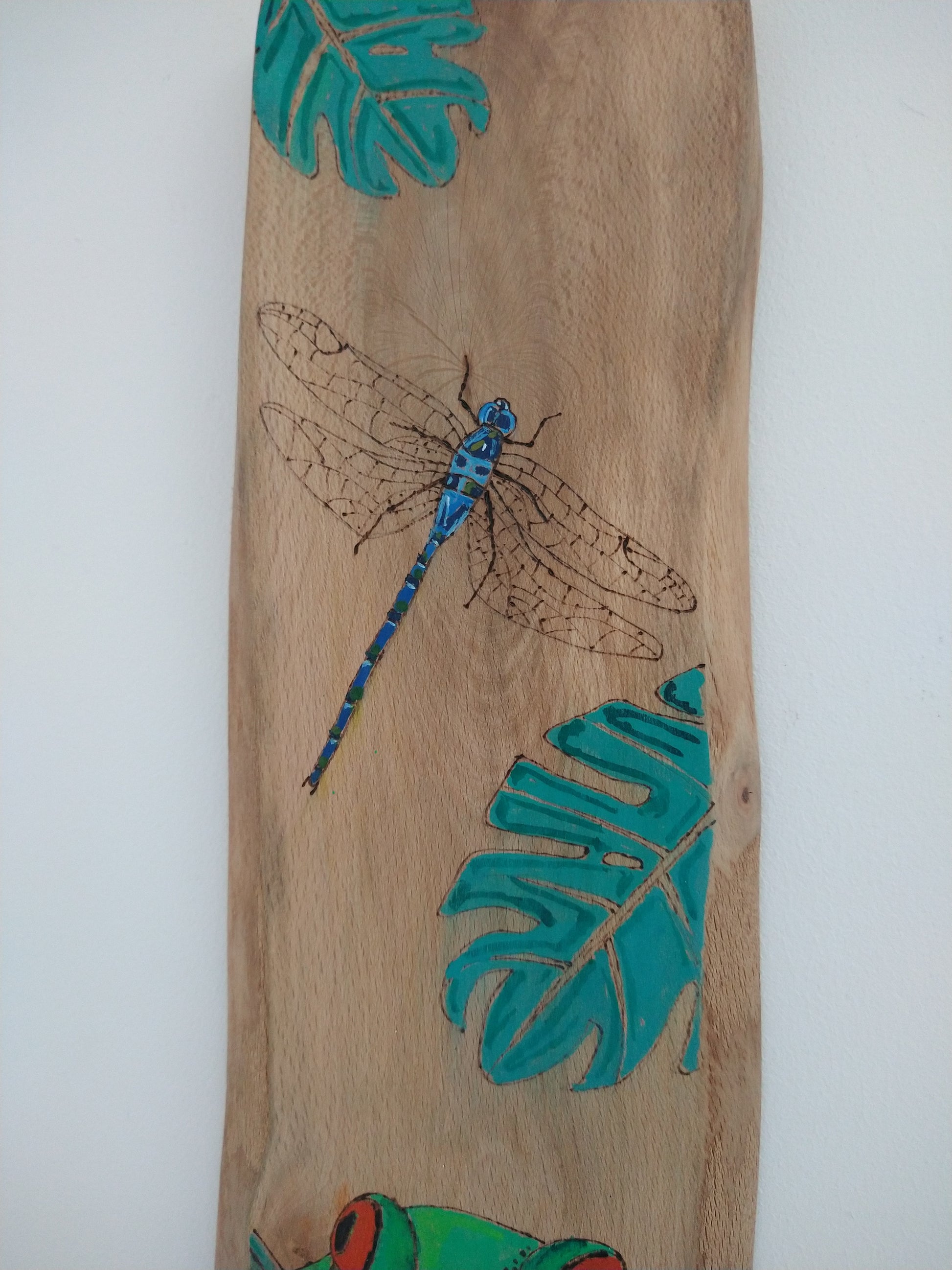 Pyrography tree frog and dragonfly - Deshca Designs