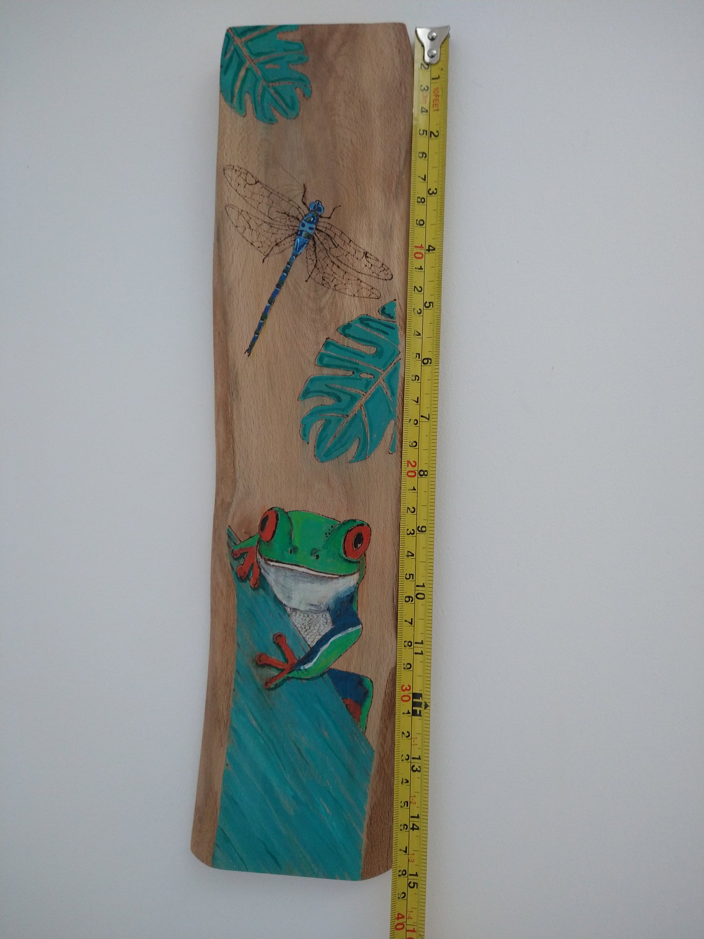 Pyrography tree frog and dragonfly - Deshca Designs