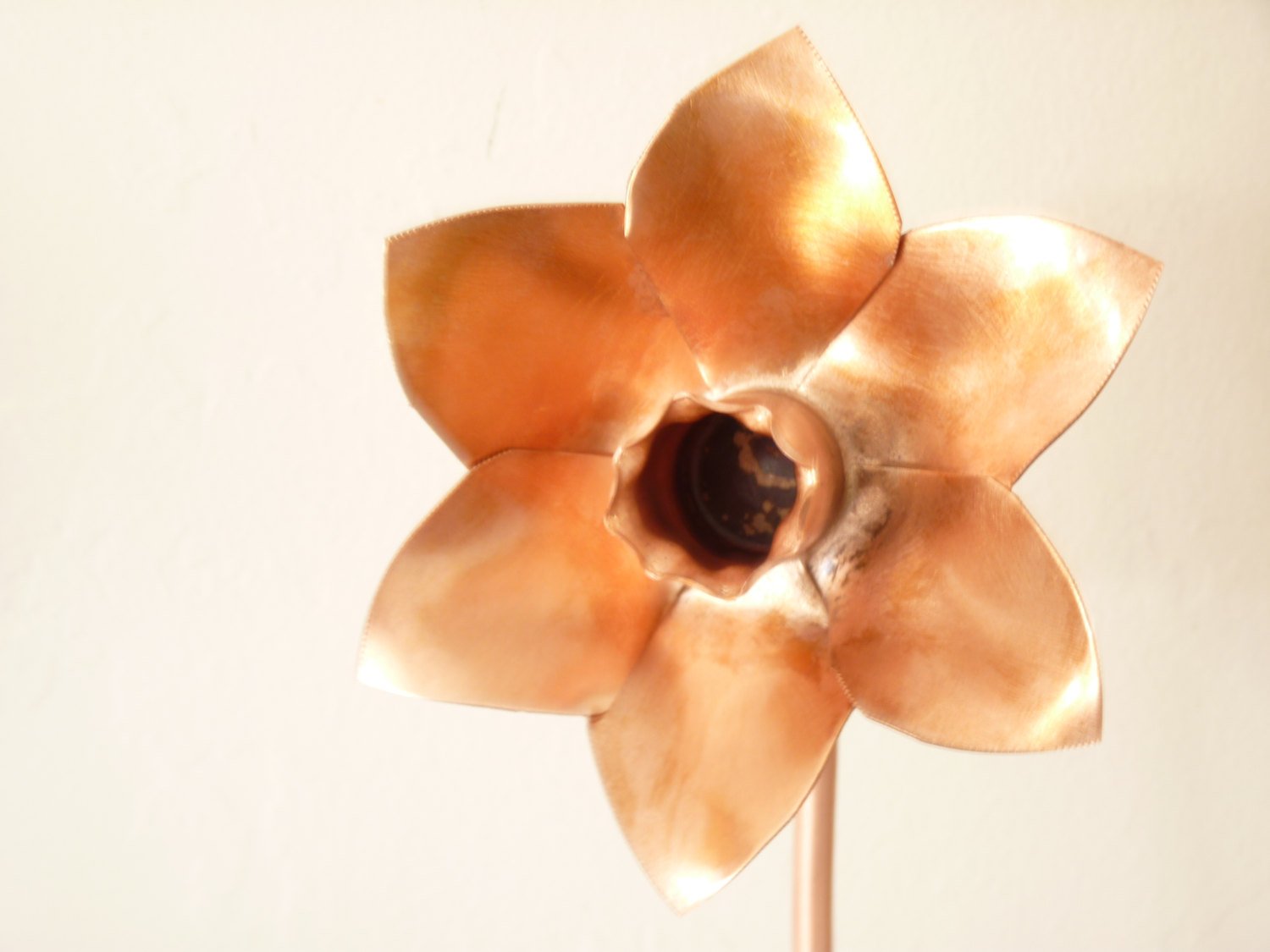 Copper daffodil, metal flower home decoration - Deshca Designs